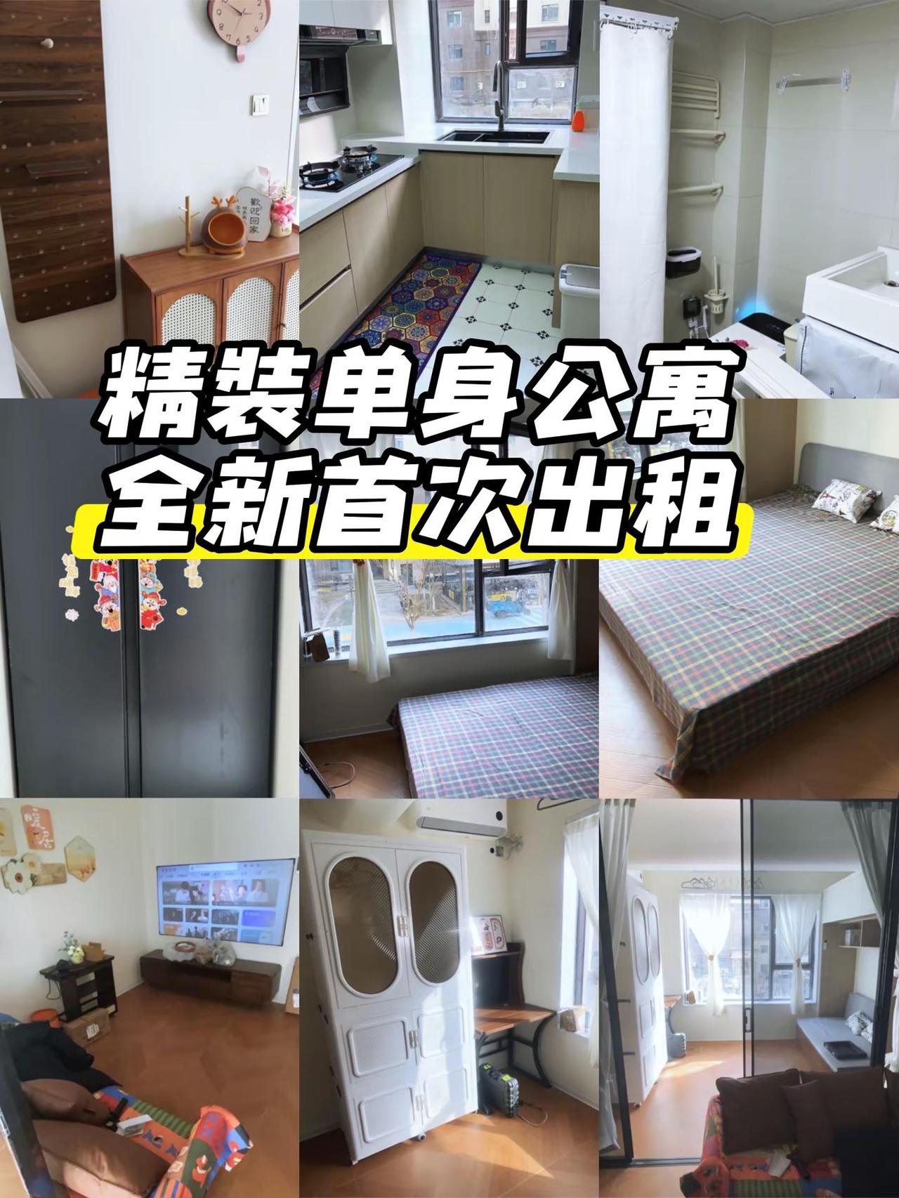 精装单身公寓全新首次出租。装修那些事 今日好房推荐 租房子 温馨小家