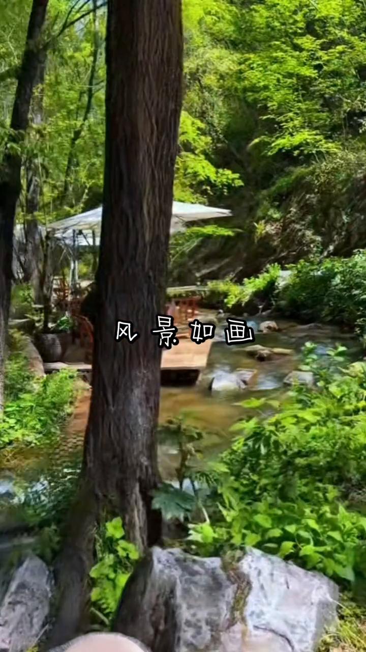 风景如画。