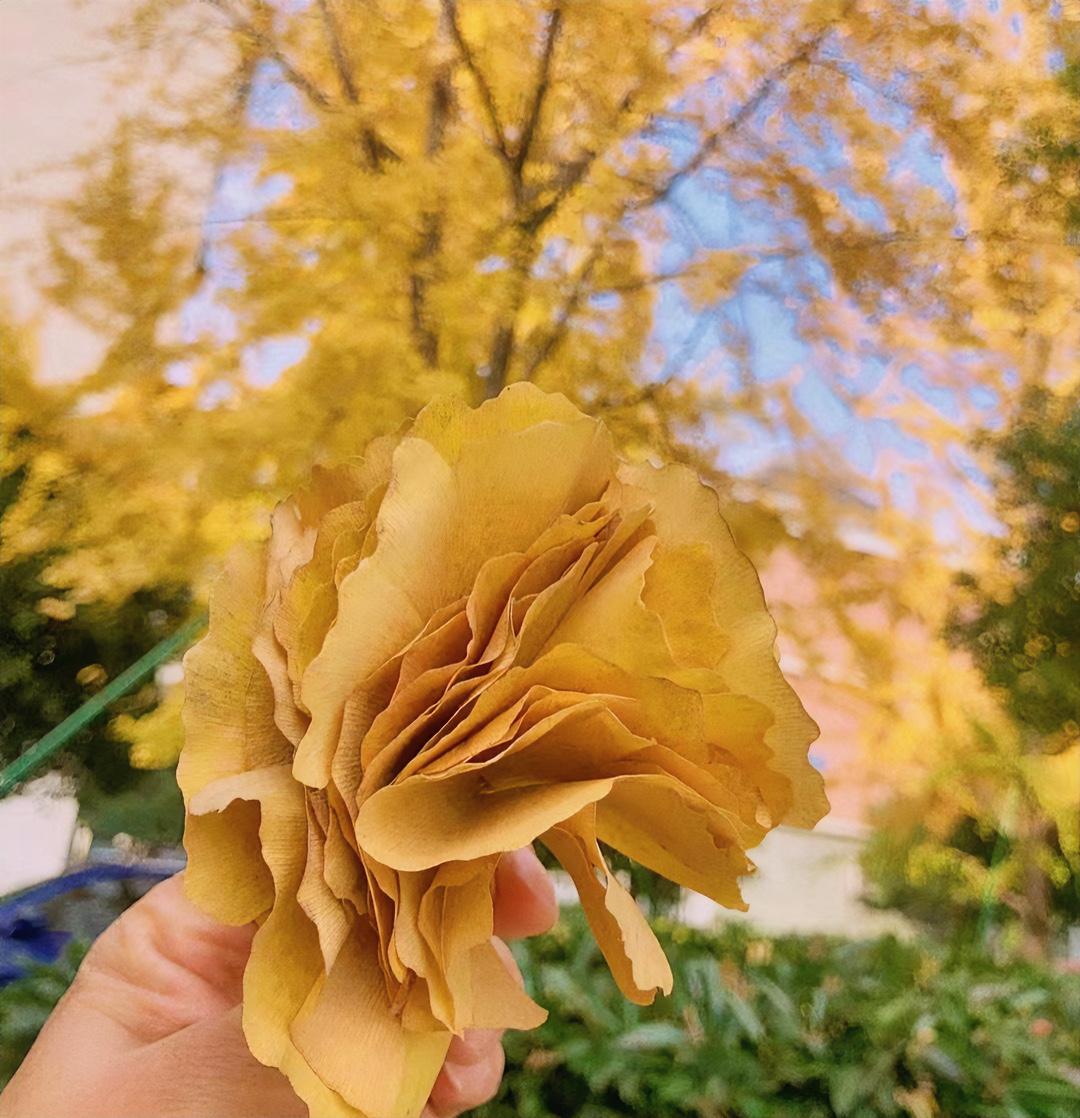 数羊越数越精神？3个科学助眠法拯救失眠
刚刚在网上看到3个睡眠小技巧，觉得不错分