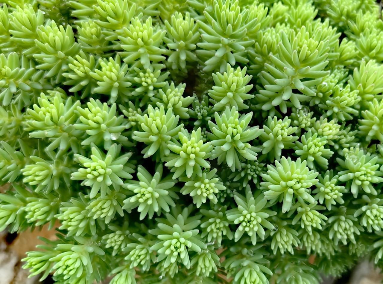 中科仪询价结果出来没？
    中科仪在北交所上市备受关注，我觉得它合理定价在4