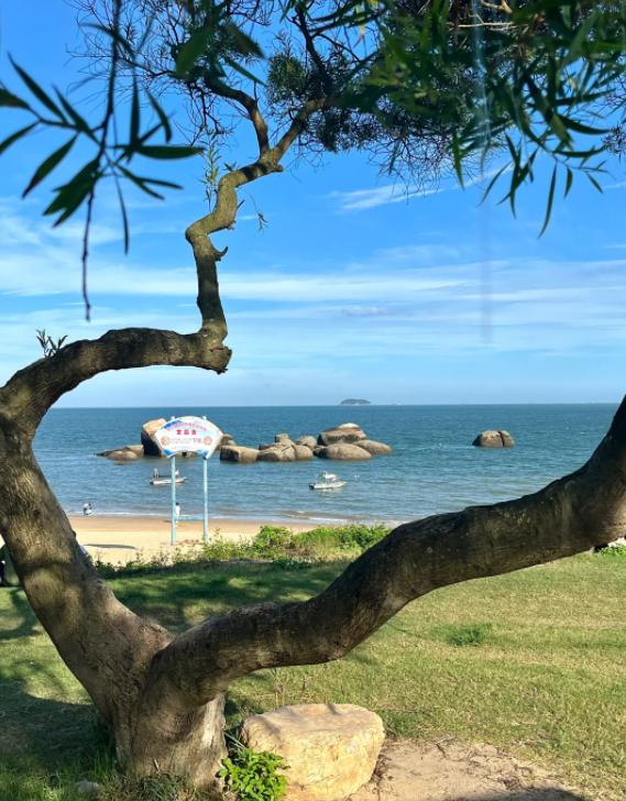 泽连斯基密友再被查，乌克兰政坛大地震
亲爱的朋友们大家好，我是海林小百科，今天我