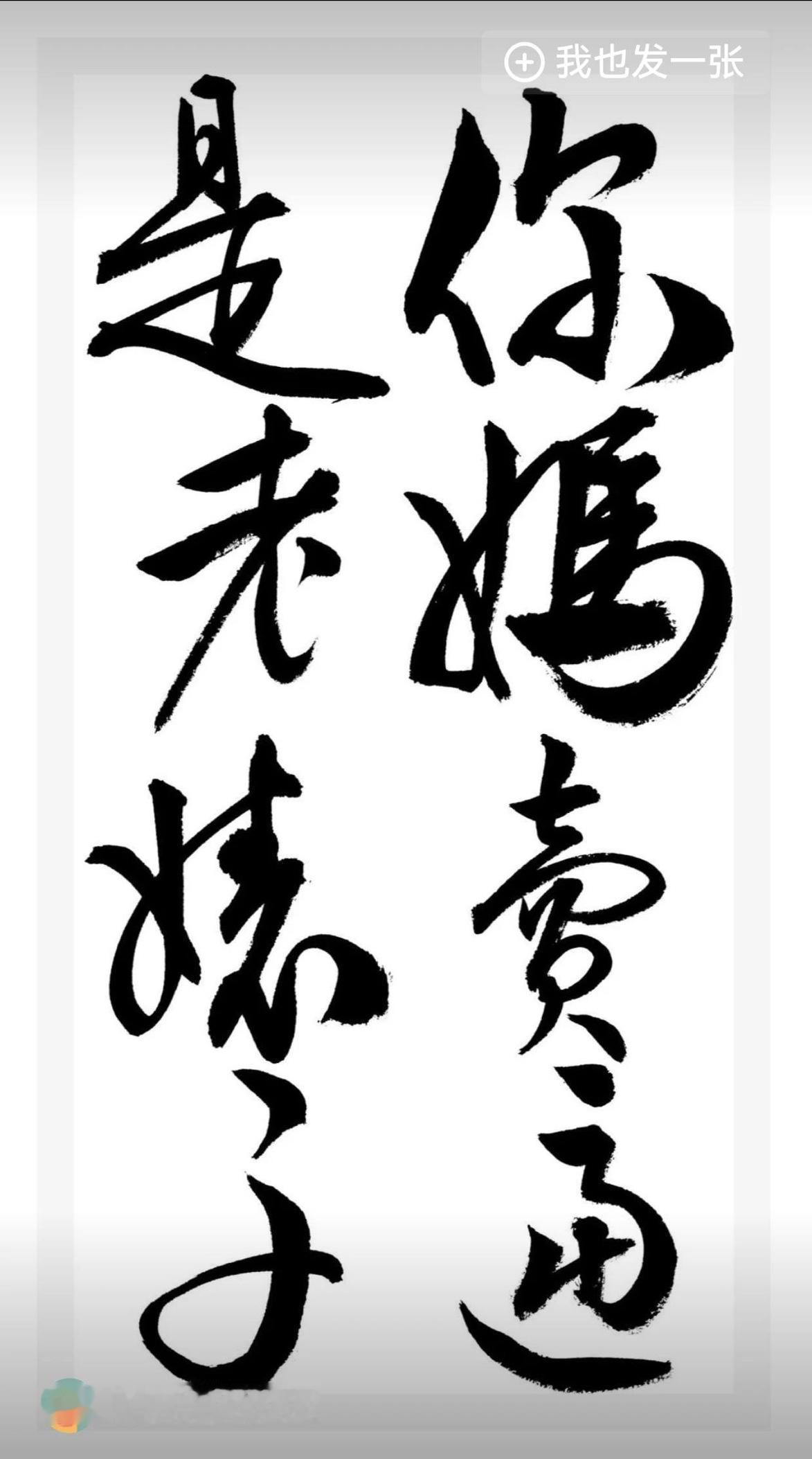 老是有些小偷小摸破坏社会秩序，如何才能根治，这种狗皮膏药经常偷你的财物，你安了监