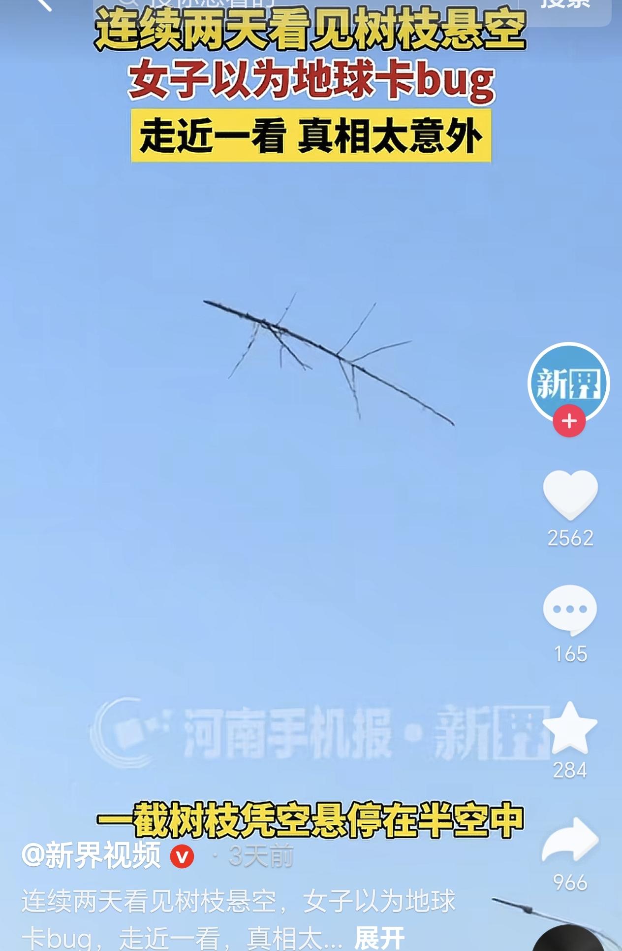 陕西西安，一女子连续两天发现一根树杈悬停在半空中，她还以为是地球卡bug，结果走