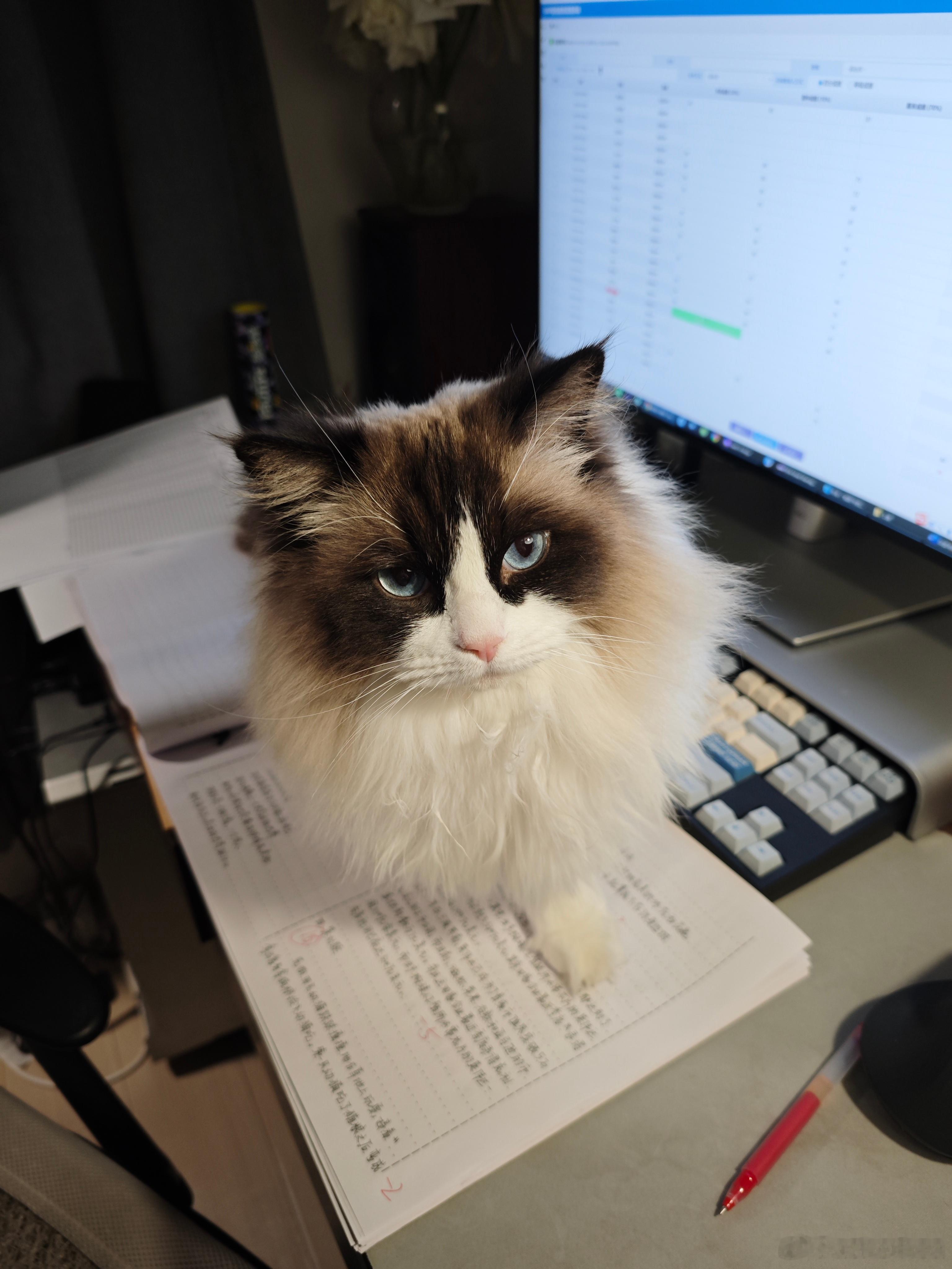 你替我阅卷，行不？ 