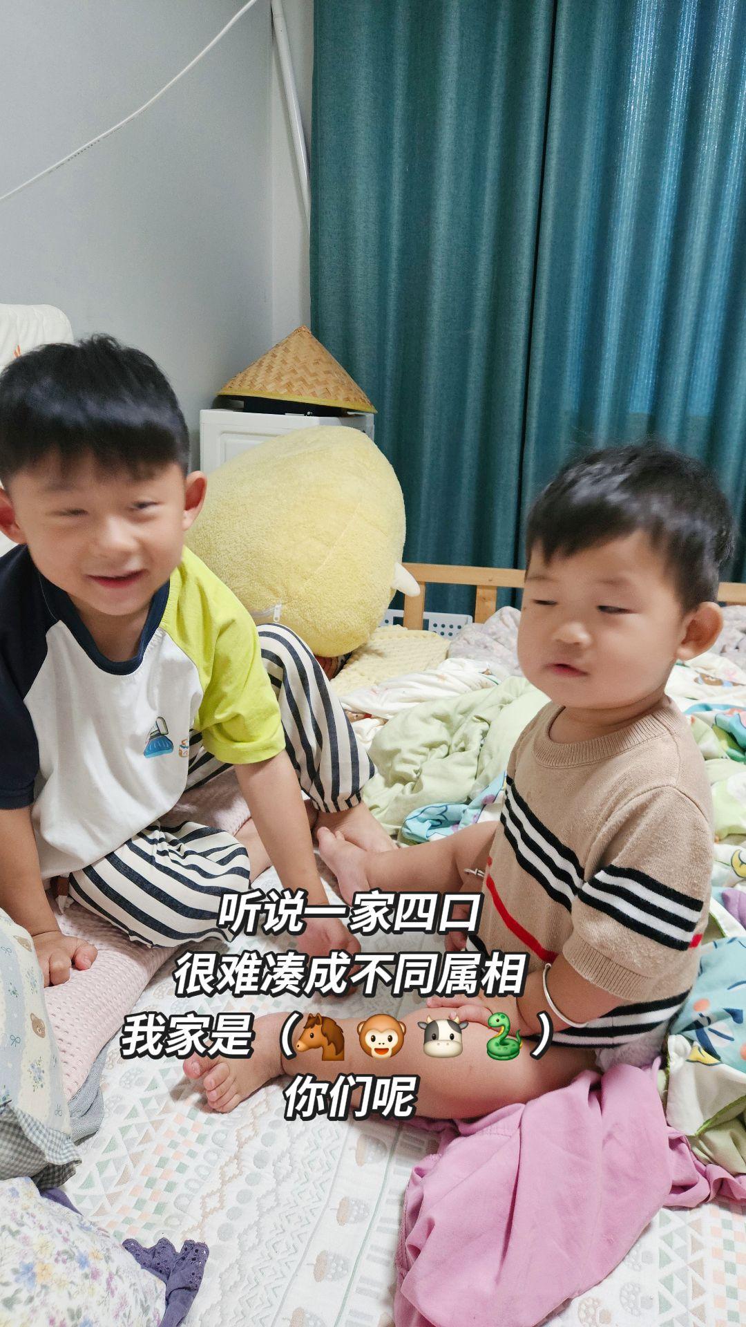 听说一家四口 很难凑成不同属相 我家是（🐴 🐵 🐮 🐍） 你们呢