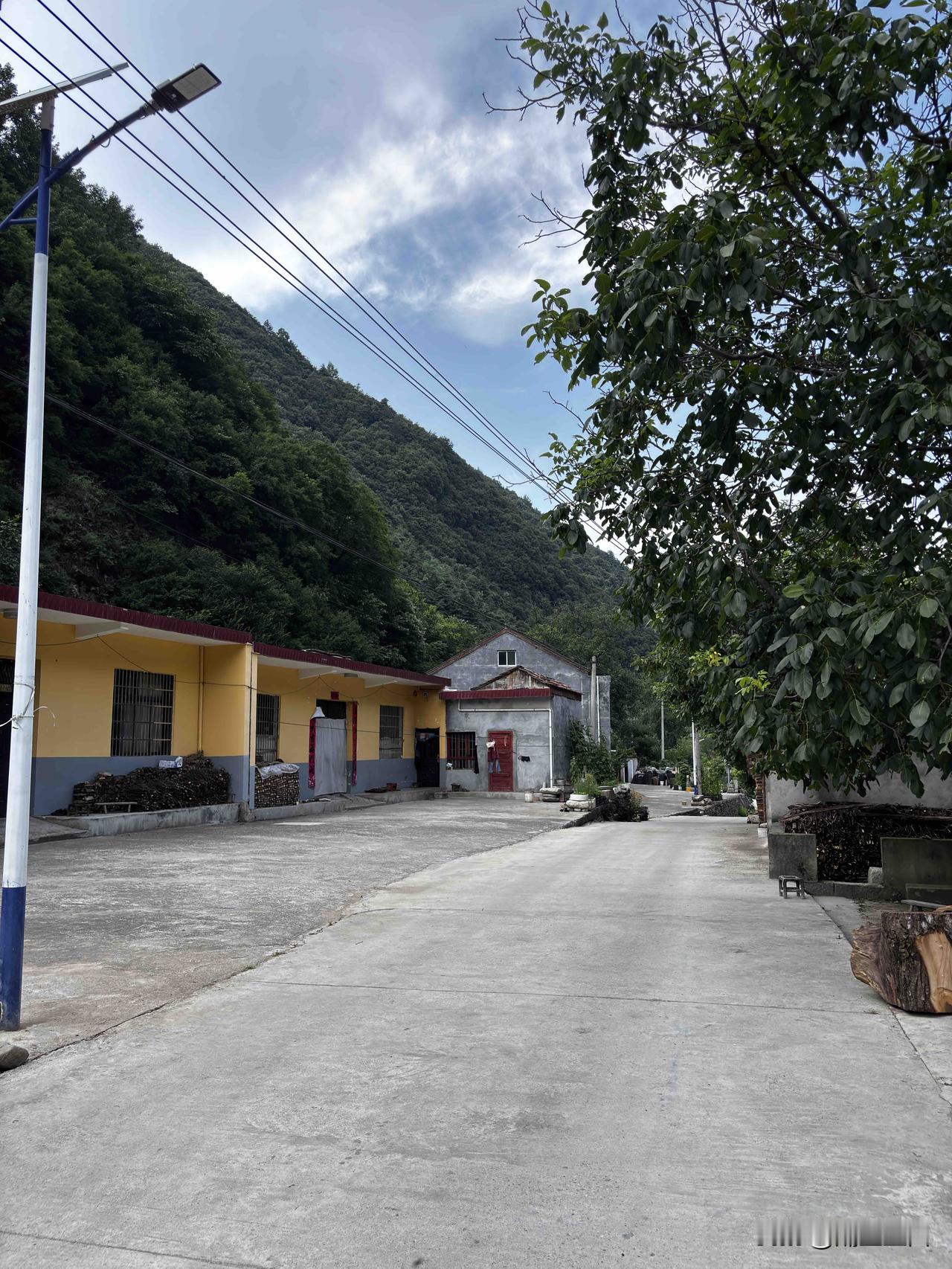 蓝田龙王庙村得名根源：古龙王庙
古时候西采峪山里，峪道河边建有一座龙王庙，供奉龙