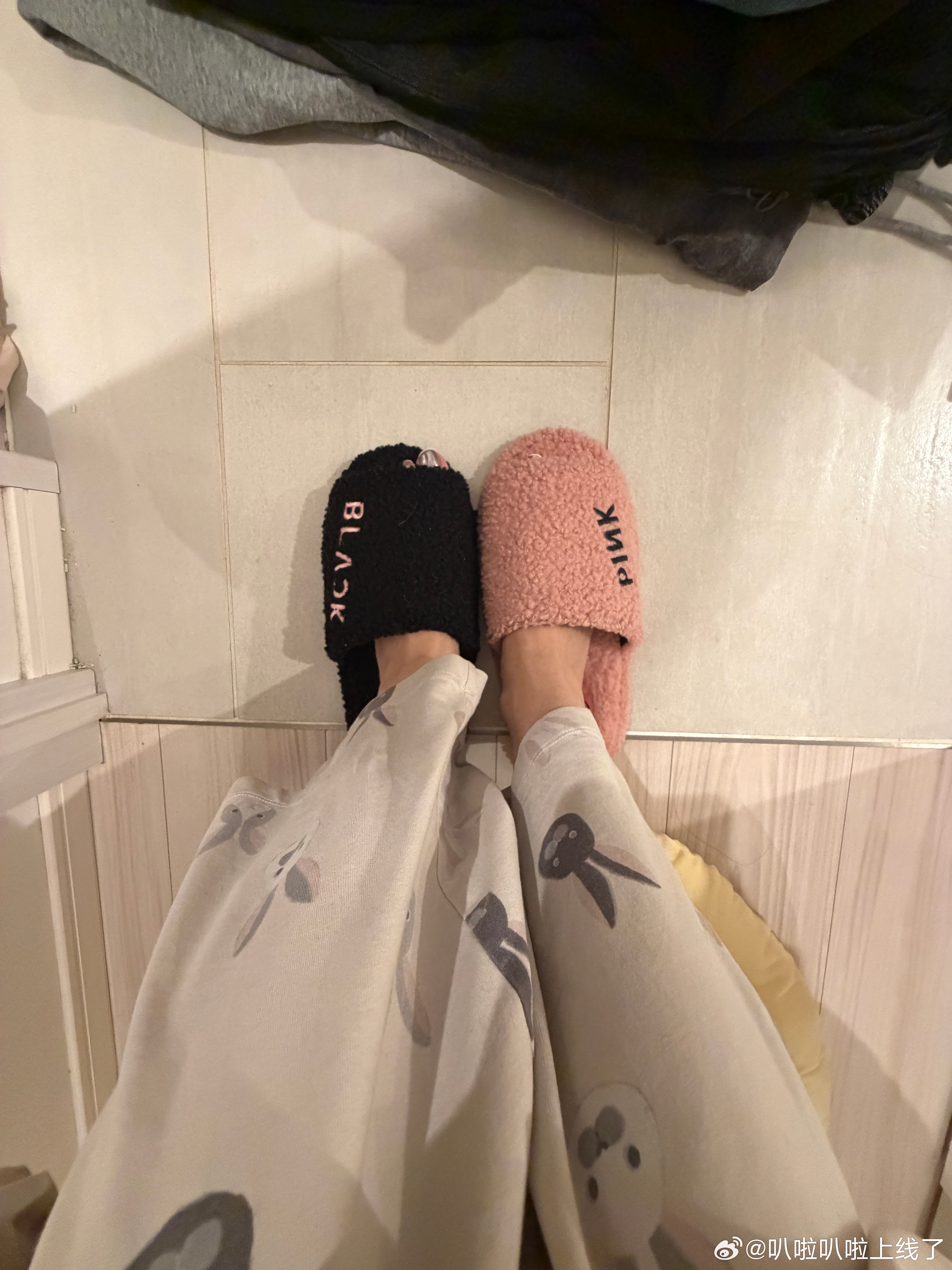 闺蜜正在收拾小房间里的衣服，安排我和卡路比必须坐在旁边看着她打扫🧹 （屁拿奇也