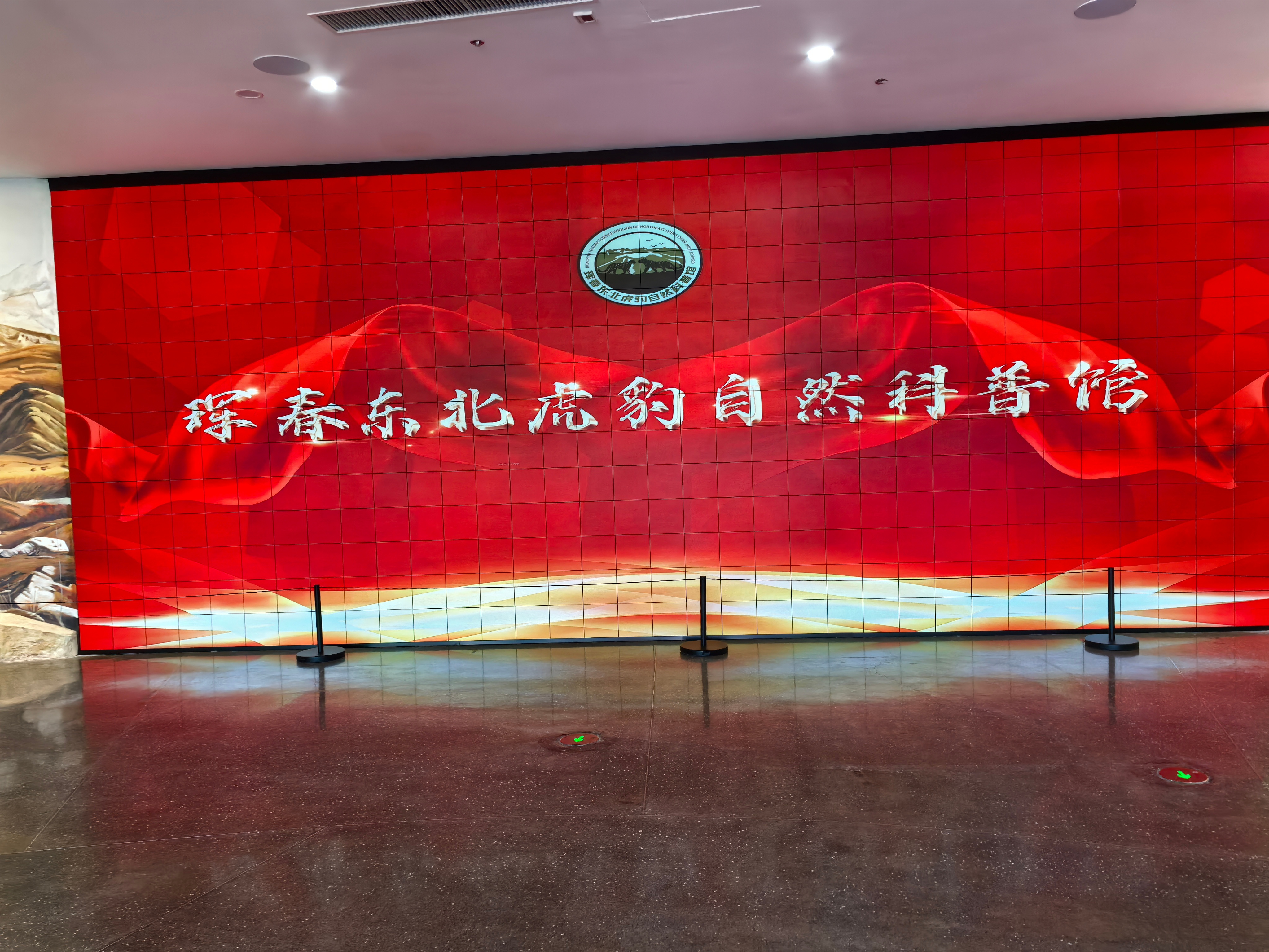 东北男子5万元购买两颗虎牙被罚50万老虎身上都是宝，但你不能私自买卖！昨天刚刚参