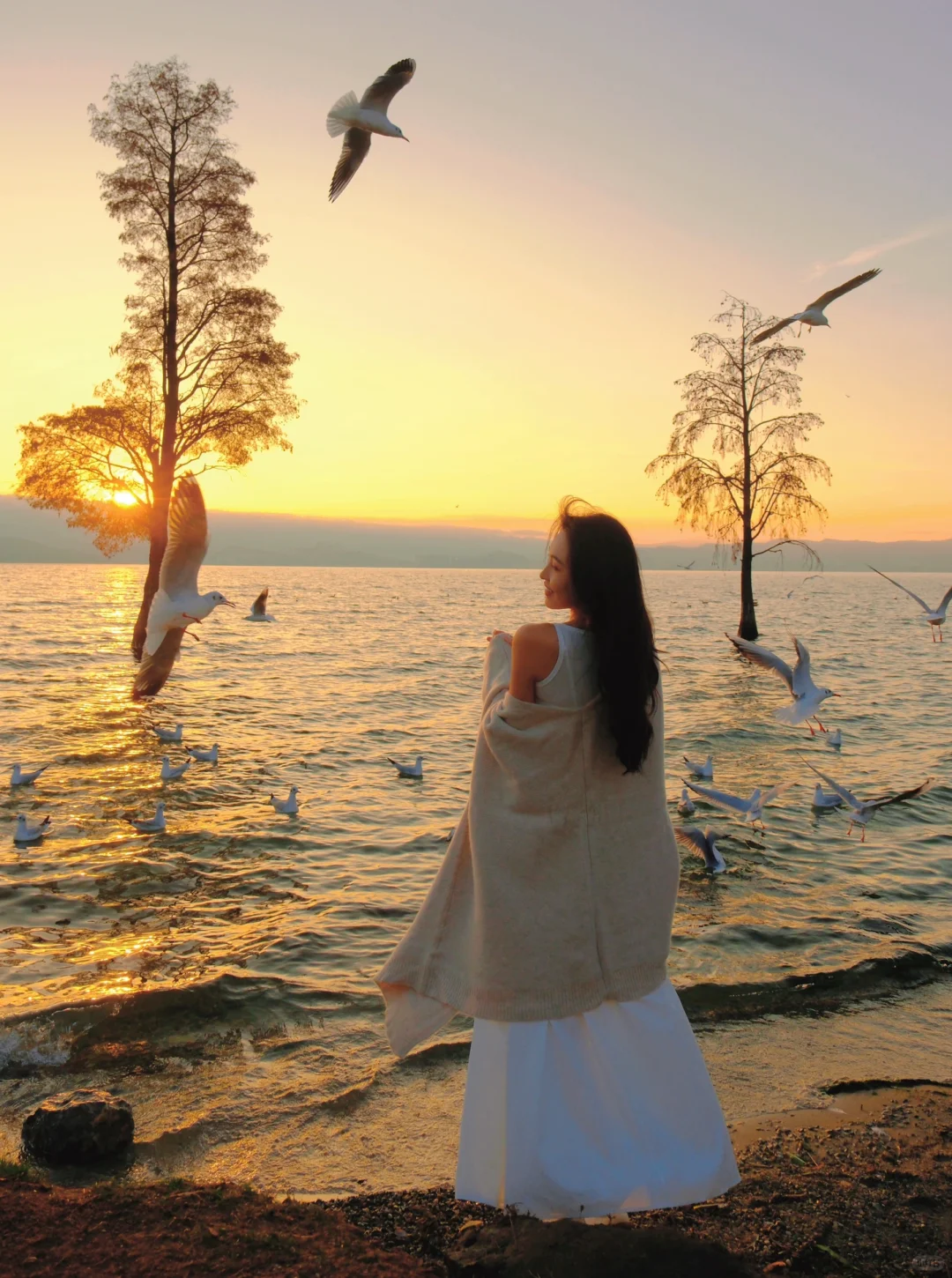 大理📍日出 海鸥 live图🌅最后5张最美～