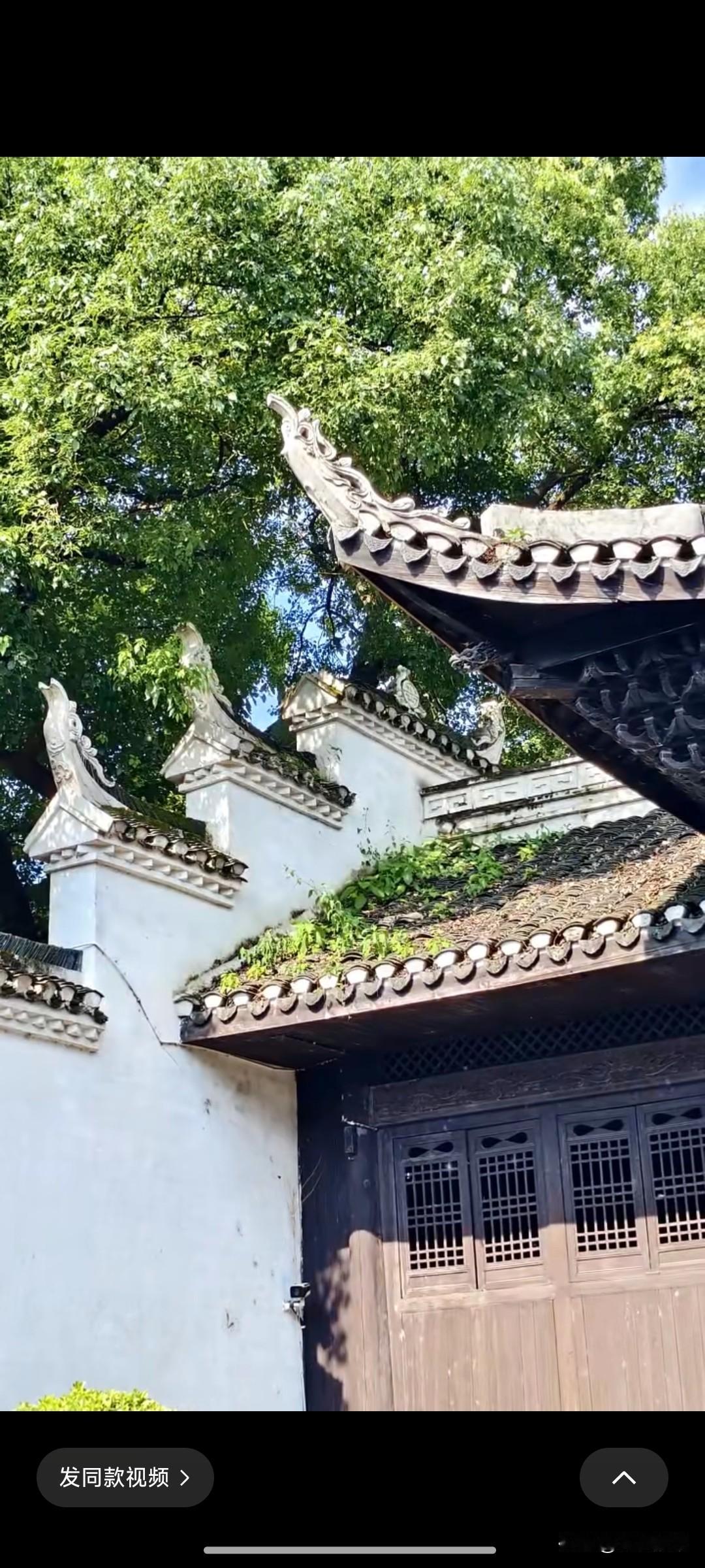 这个老太太不知道是怎么了，进到电梯里，就像进入了无人之地，见到人，脸上没有一点表