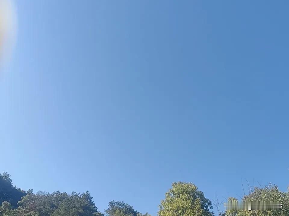 记录我的2026 2026年，感觉既近又远。年初看到那些早安祝福图片，“冬日暖阳