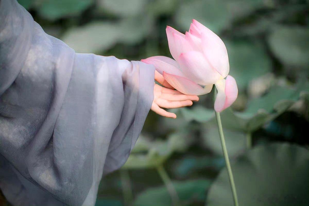 “人民日报的顶级文案，真的是太治愈了：”“如果你熬到一个人喝茶，一个人散步，一个
