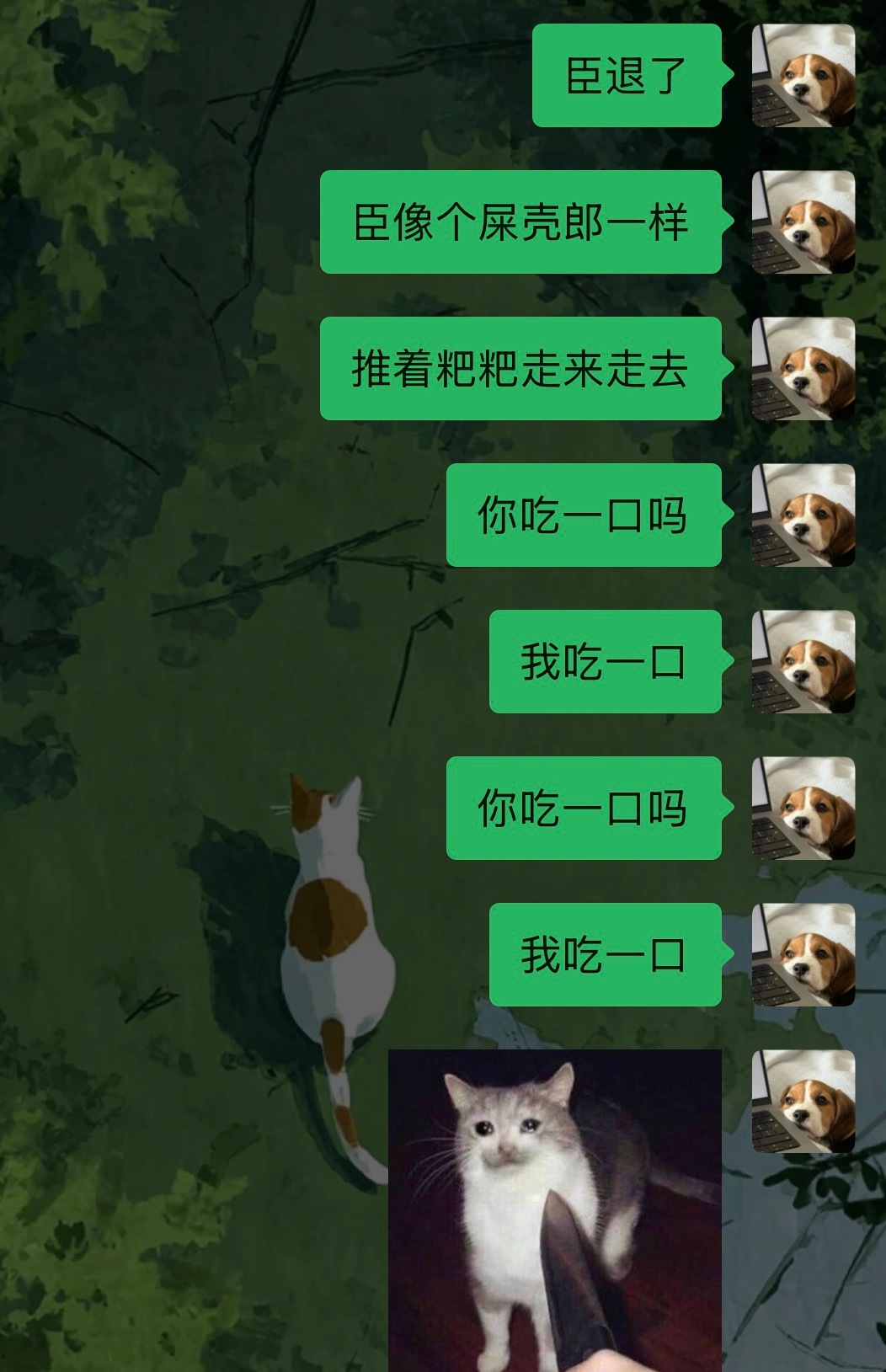 山猫垫子冲浪海域太广了有时候害人害己的 