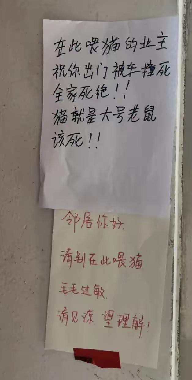 我真不明白
一只流浪猫能🈶什么危害，文明社会的人们不该如此憎恨猫咪的。[微笑]