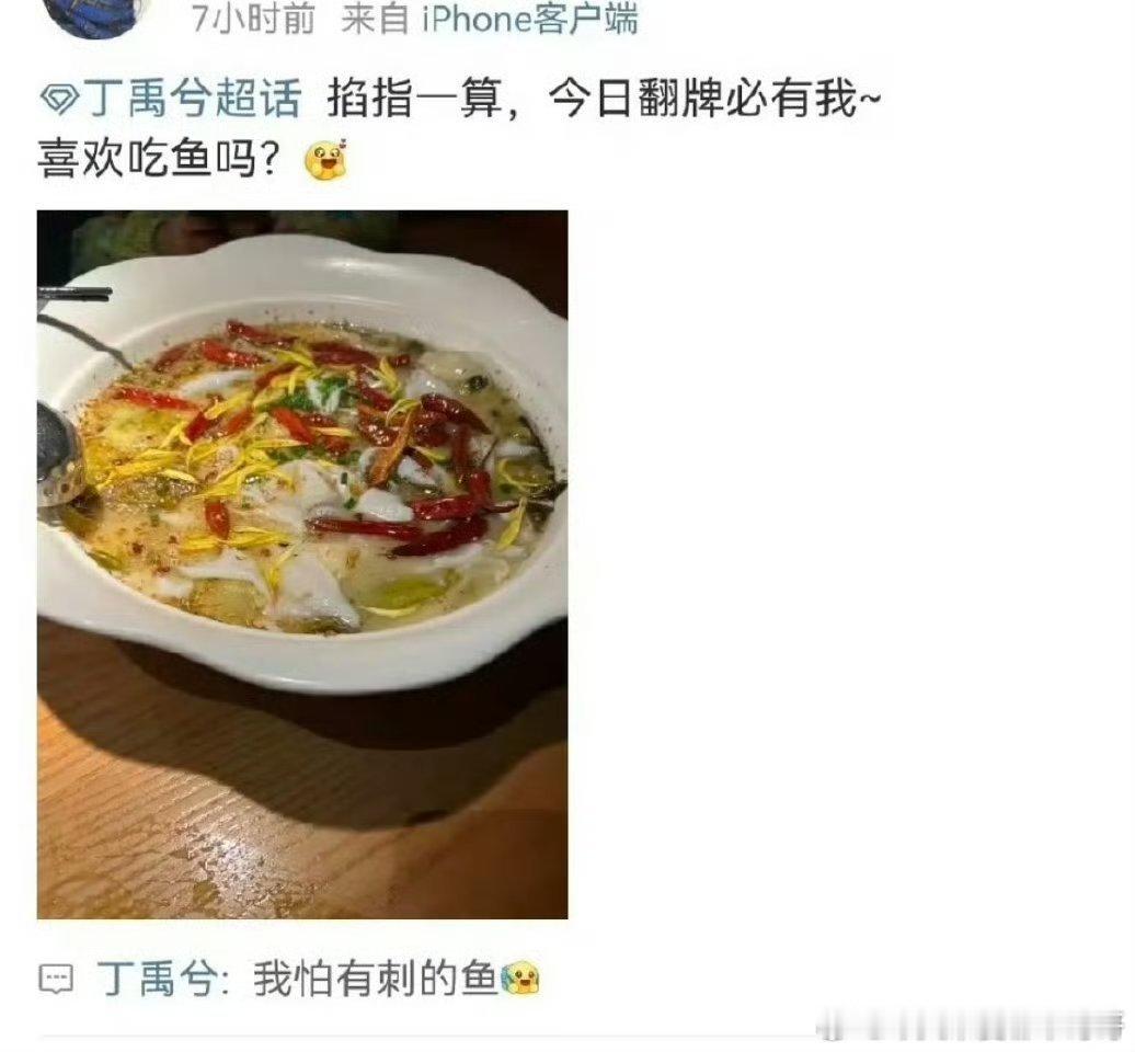 因为丁禹兮的这个回复，豆瓣丁丝鱼丝正在大打出手[允悲] 