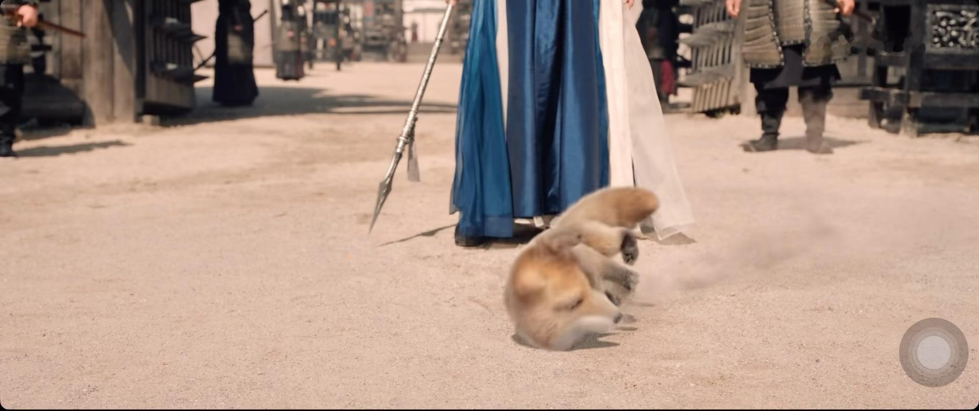 笑得我，这个萌萌的土狗（bushi，沙狐，试图还原救人那天的场景让眼前的心上人想