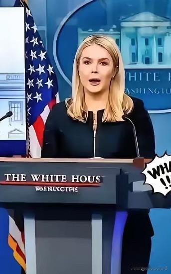 美国被中国再度拒绝了，美国官员很沮丧。“中国不想跟我们合作了，中国想要实现半导体