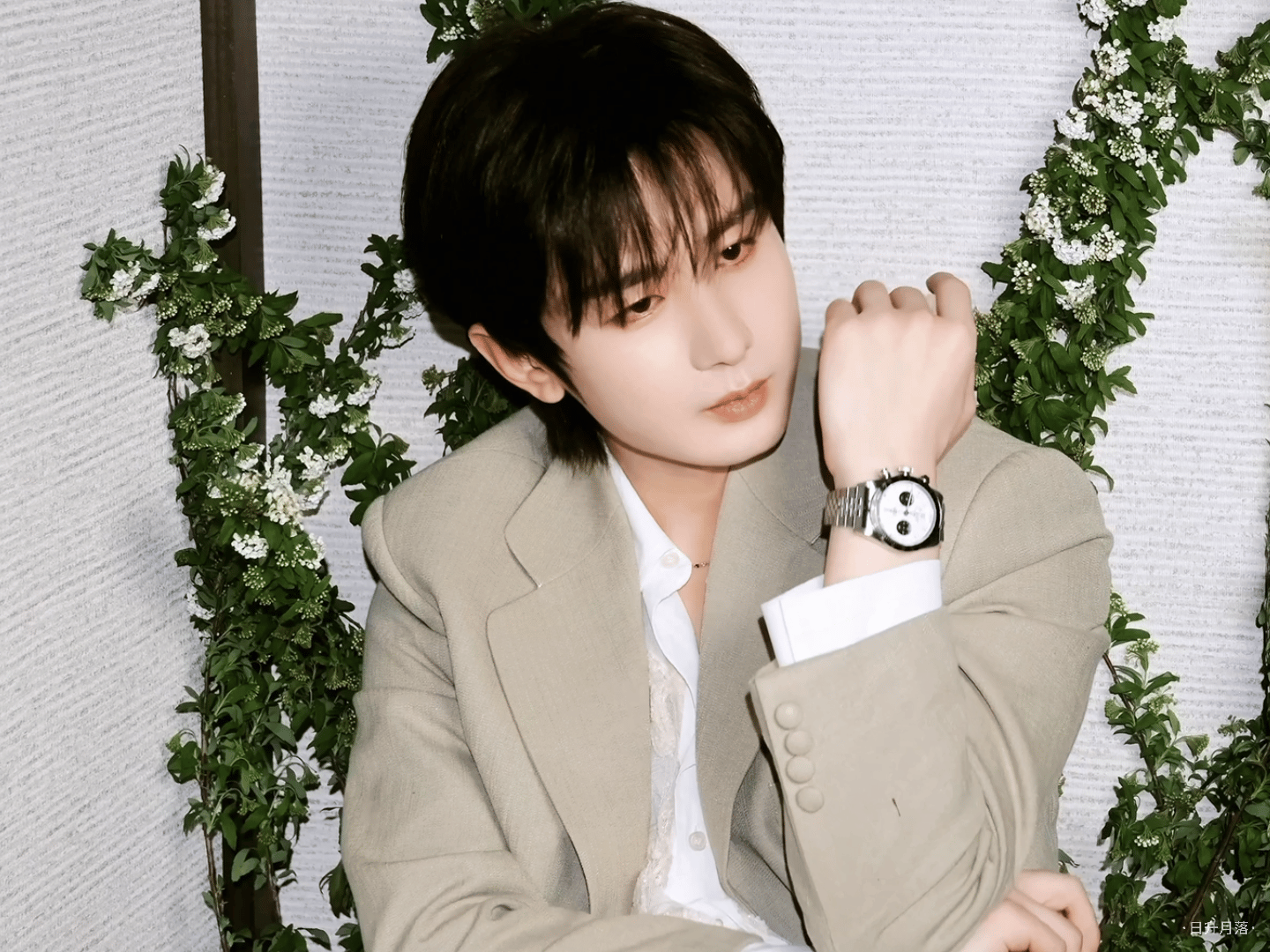 清醒而强大，温柔有力量，步履坚定赴新章✨成毅在为新工作做准备 |  成毅帝舵直播