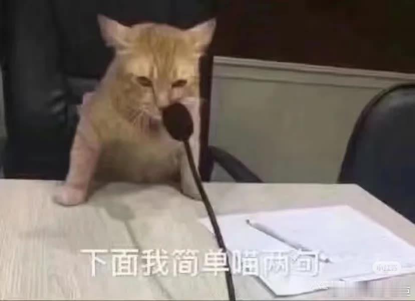 《\u003c好东西\u003e观后感：邵导的天才之处》“天才”一词，常被用以形