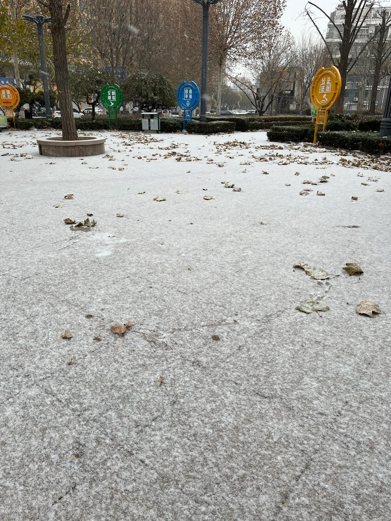 冬至，毫无预兆地下起了小雪花❄️

意外惊喜啊，心情瞬时有点小兴奋🥰

今天冬