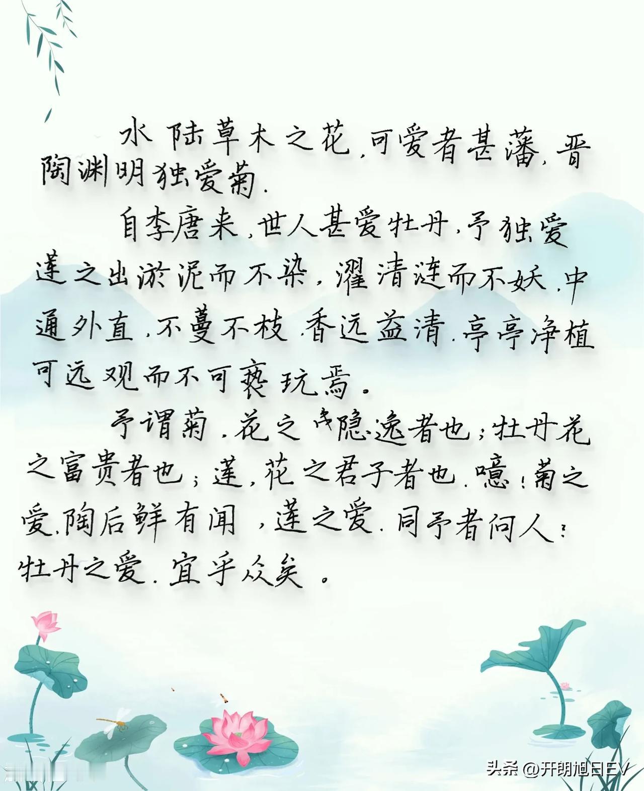 #自写硬笔# 水陆草木之花，
可爱者甚蕃
晋陶渊明独爱菊
自李唐来
世人甚爱牡丹