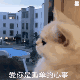 是缘分让每天早起的你我在互联网相遇 👺🫪 