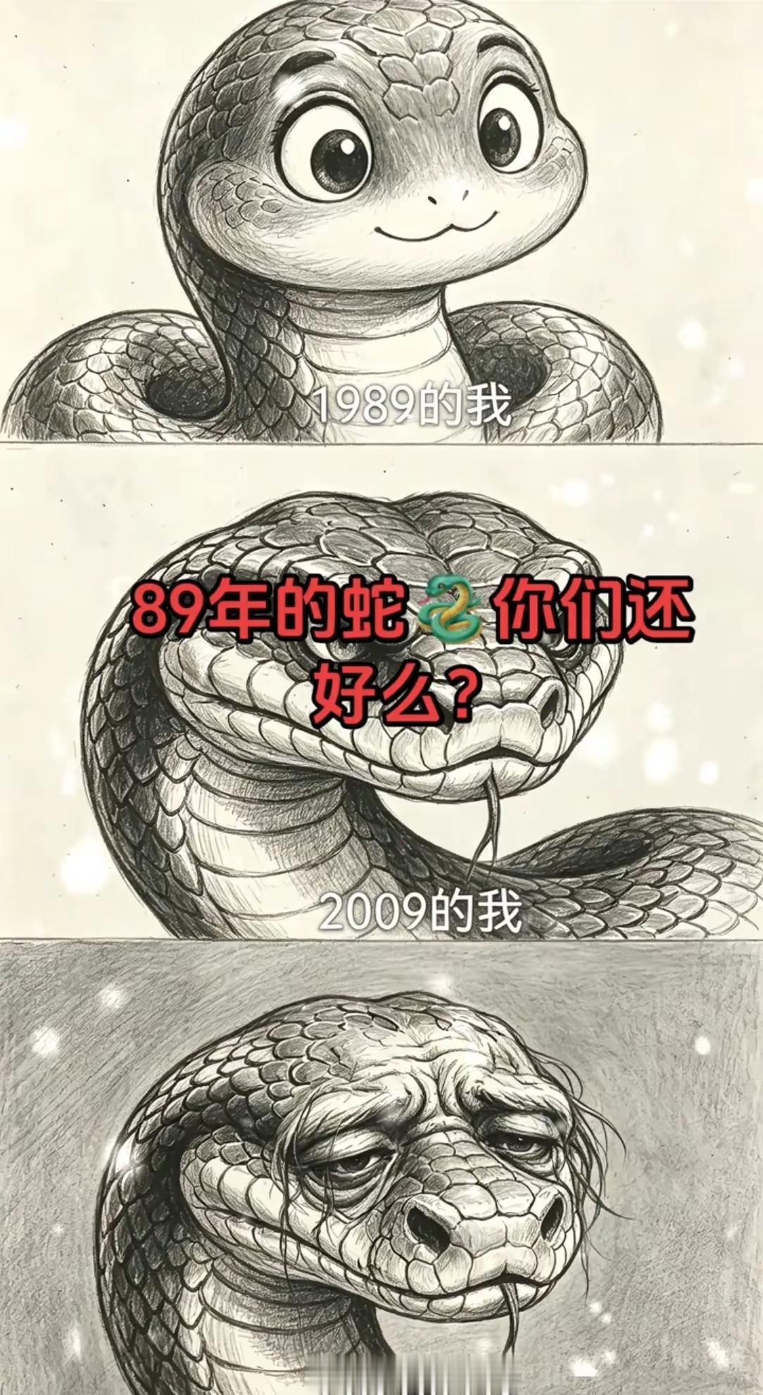 十二生肖我属蛇