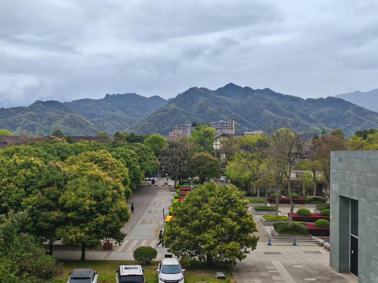 清明节放假三天，我无比羡慕的看着在合肥南京上大学的孩子们回家了，我的白眼狗只会打