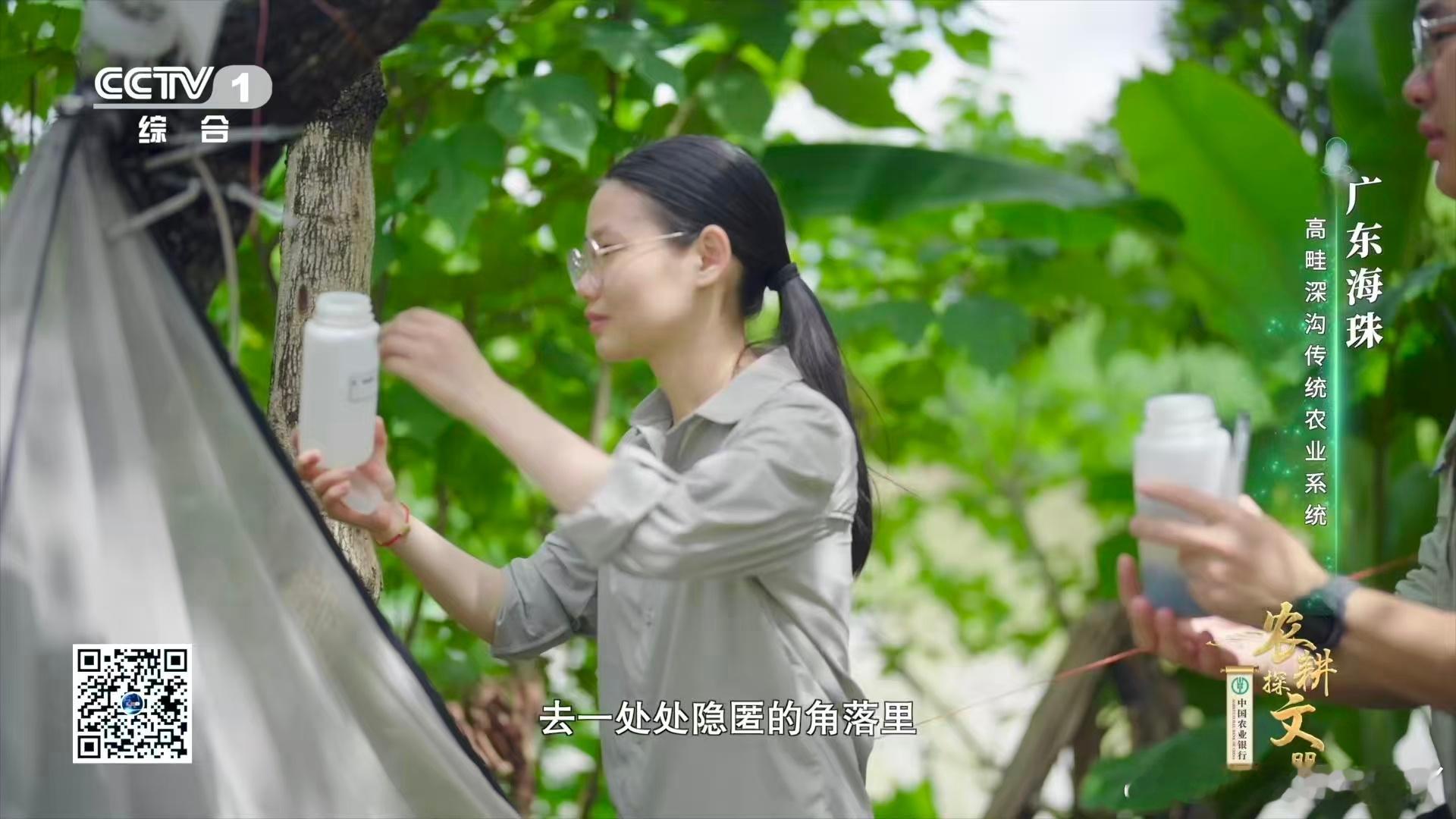 广东近年发现多个新物种 谁能想到城市里藏着未知生命？海珠高畦深沟农业遗产地发现海