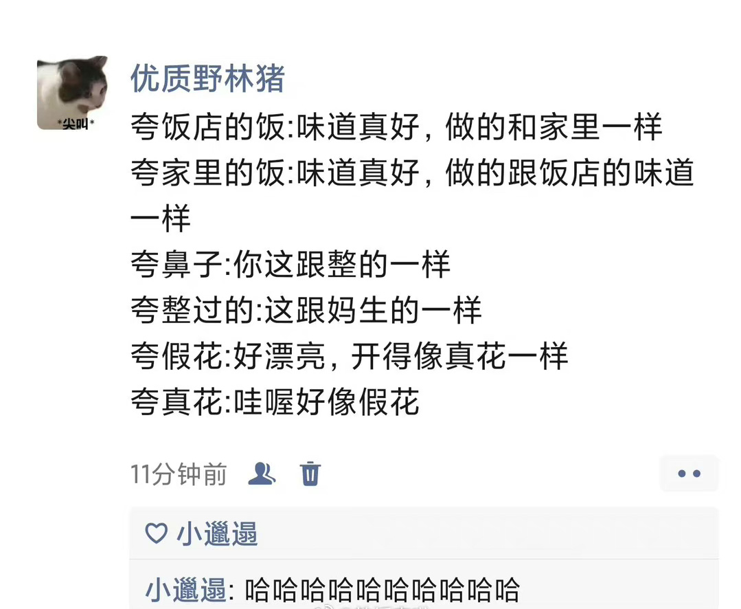我混乱的语言系统be like～ ​ ​​​