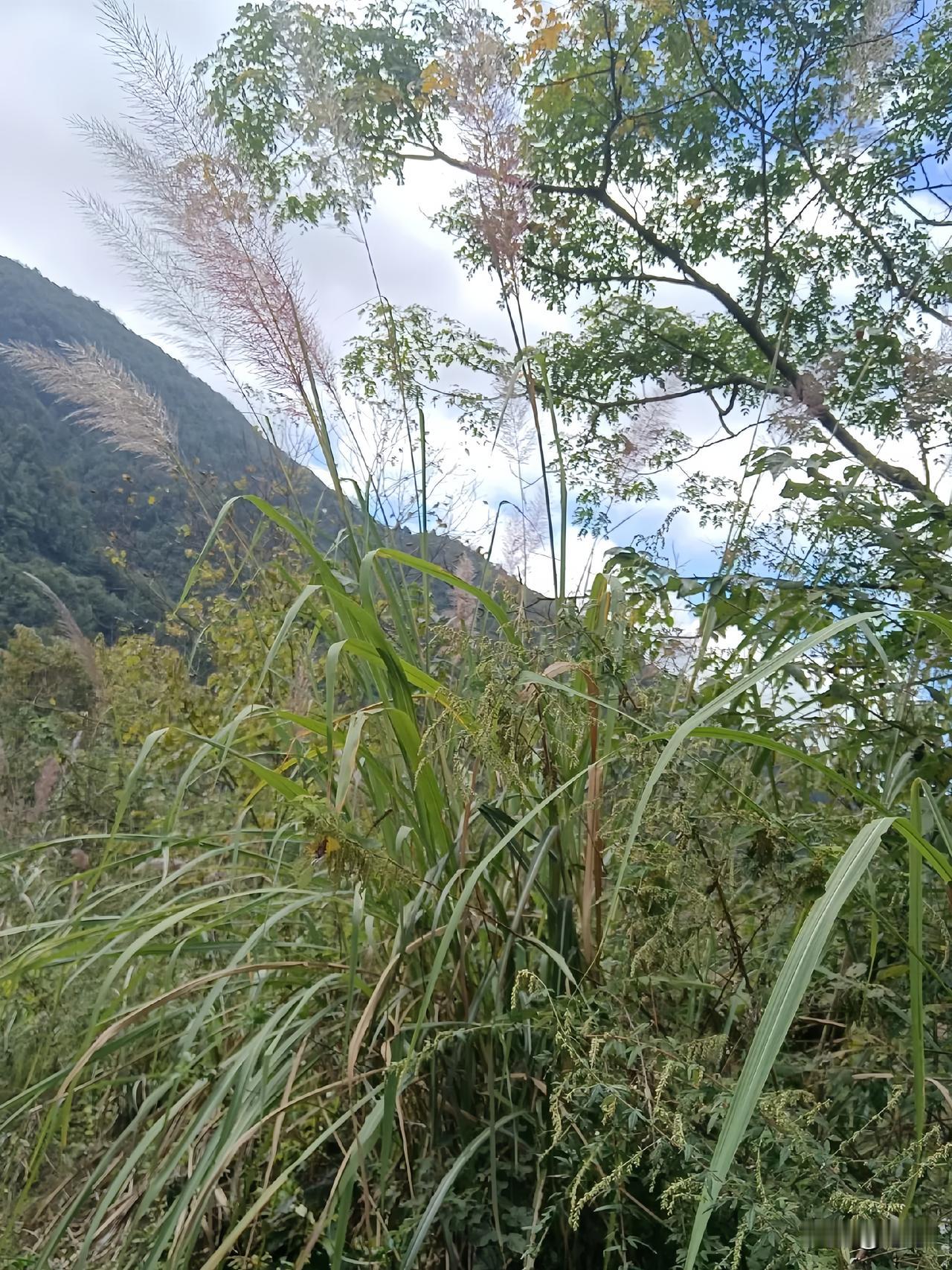 人这一辈子
有人说：
“和”字值千金，
狂傲丢性命，
甭把自己看成柱石，
休将他