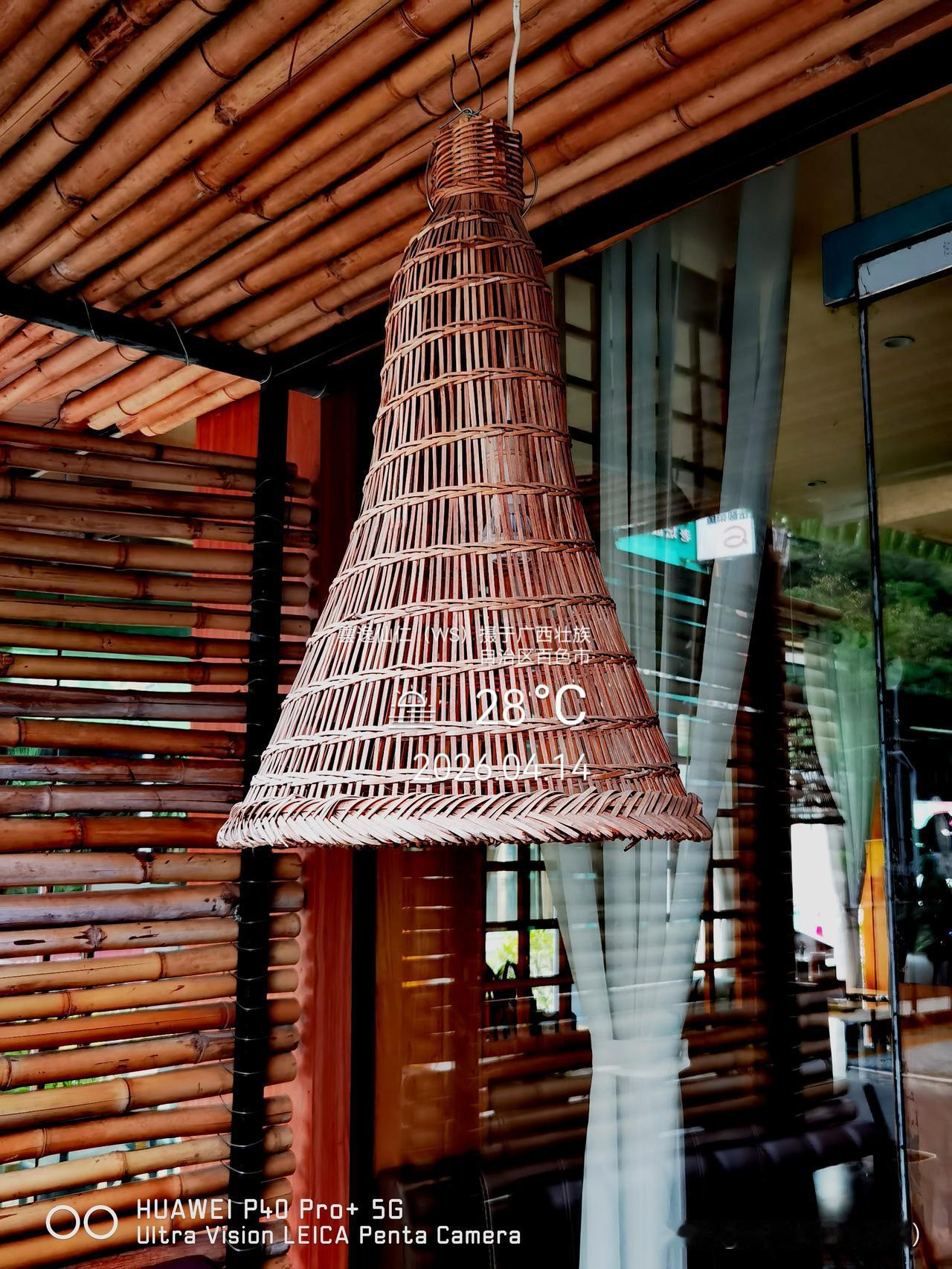 旅居生活记录（9451）广西壮族自治区百色市（136）：竹灯罩、骑自行车的猪、鼎