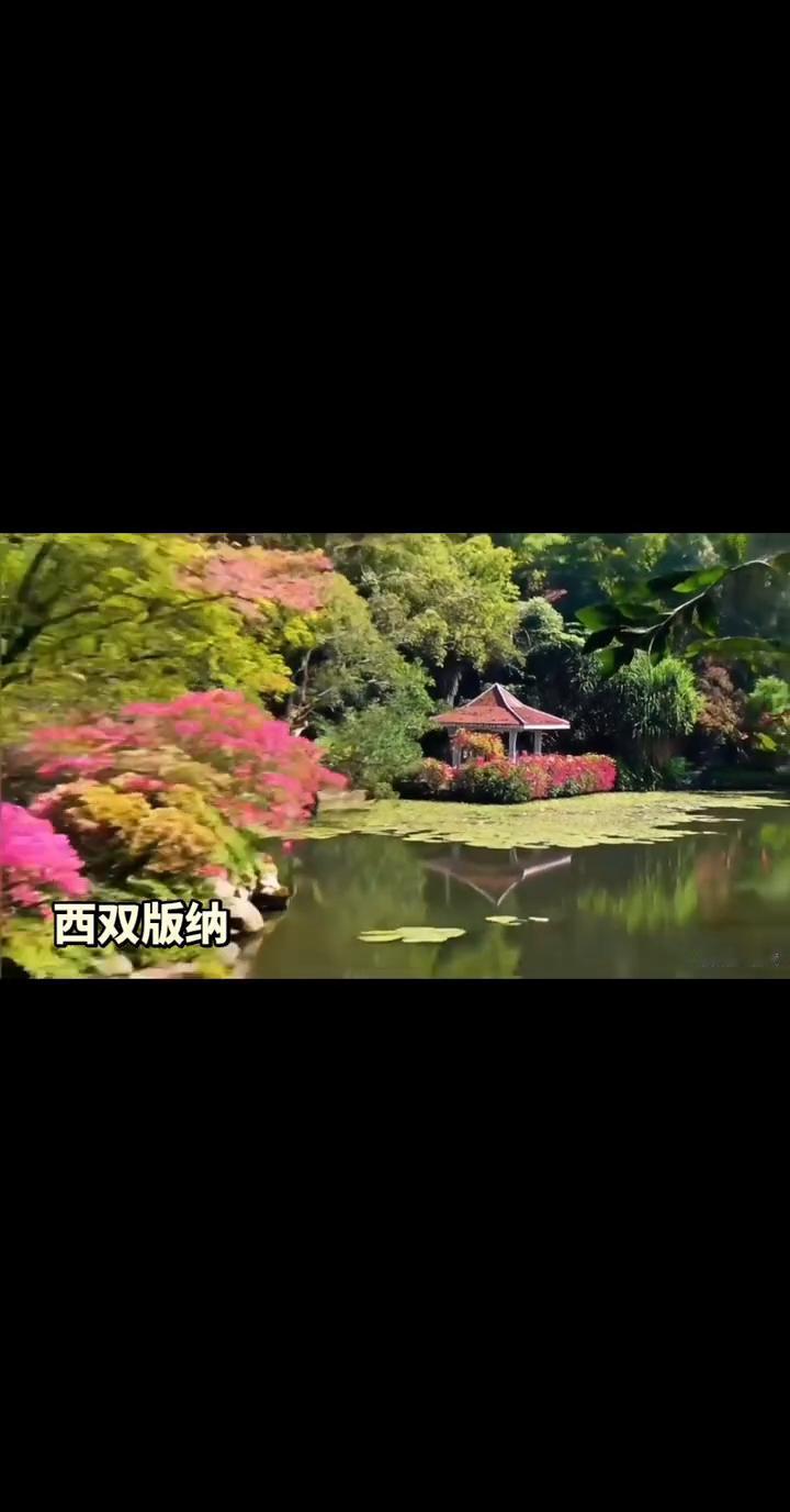 西双版纳。