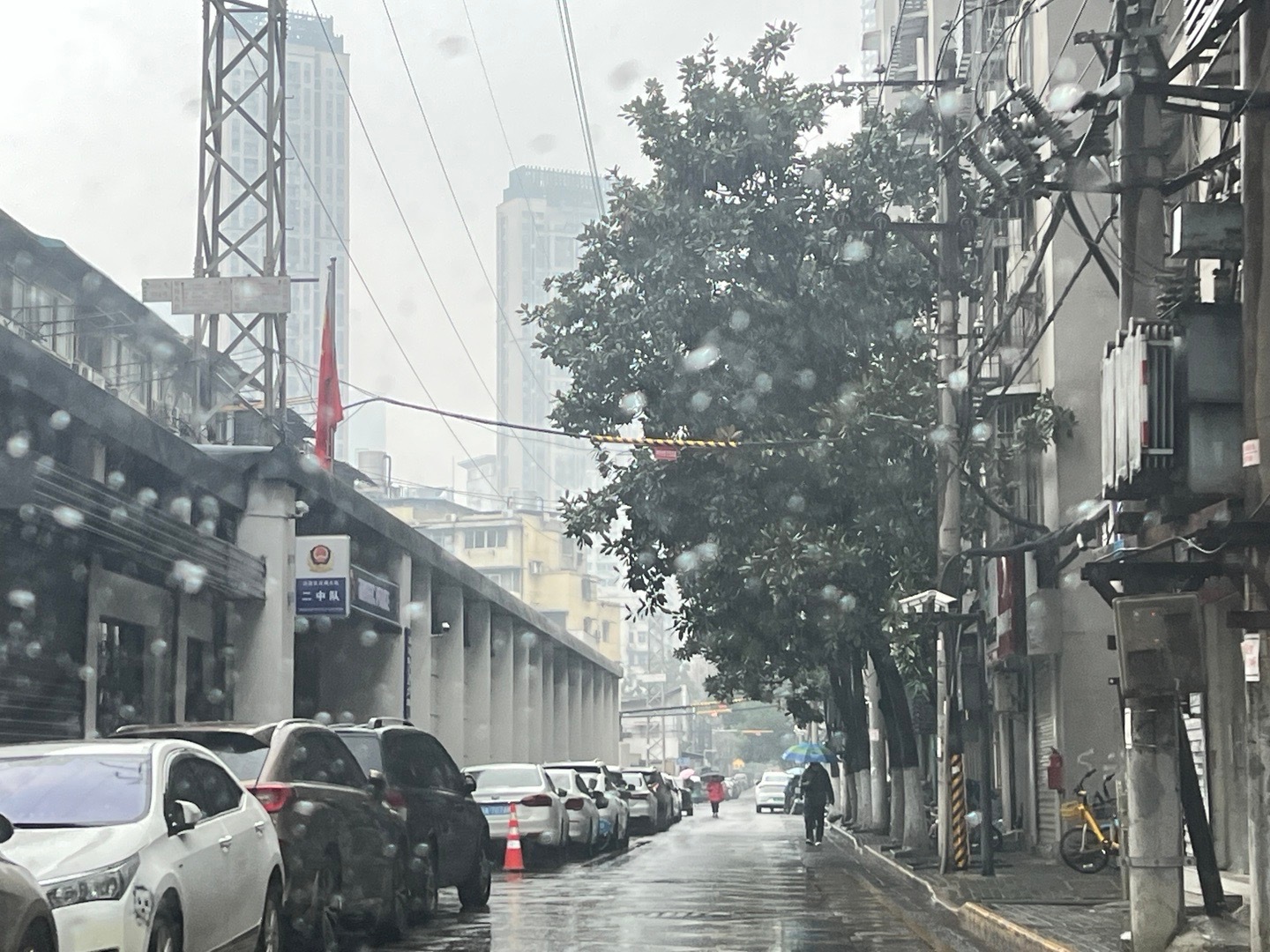 人都是在成都的街头走一走，而我却在武汉的街头走上一走，还严重的水土不服[苦涩]好