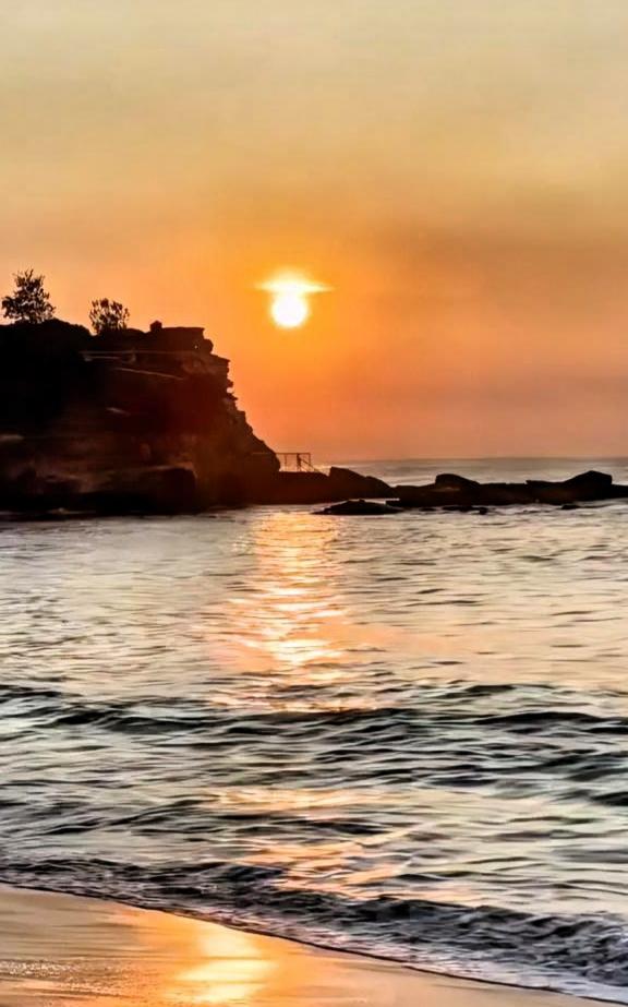 寒枝一夜换银妆，
碎玉千叠映晓窗。
忽有孤鹊弹枝去，
东方日升好运来