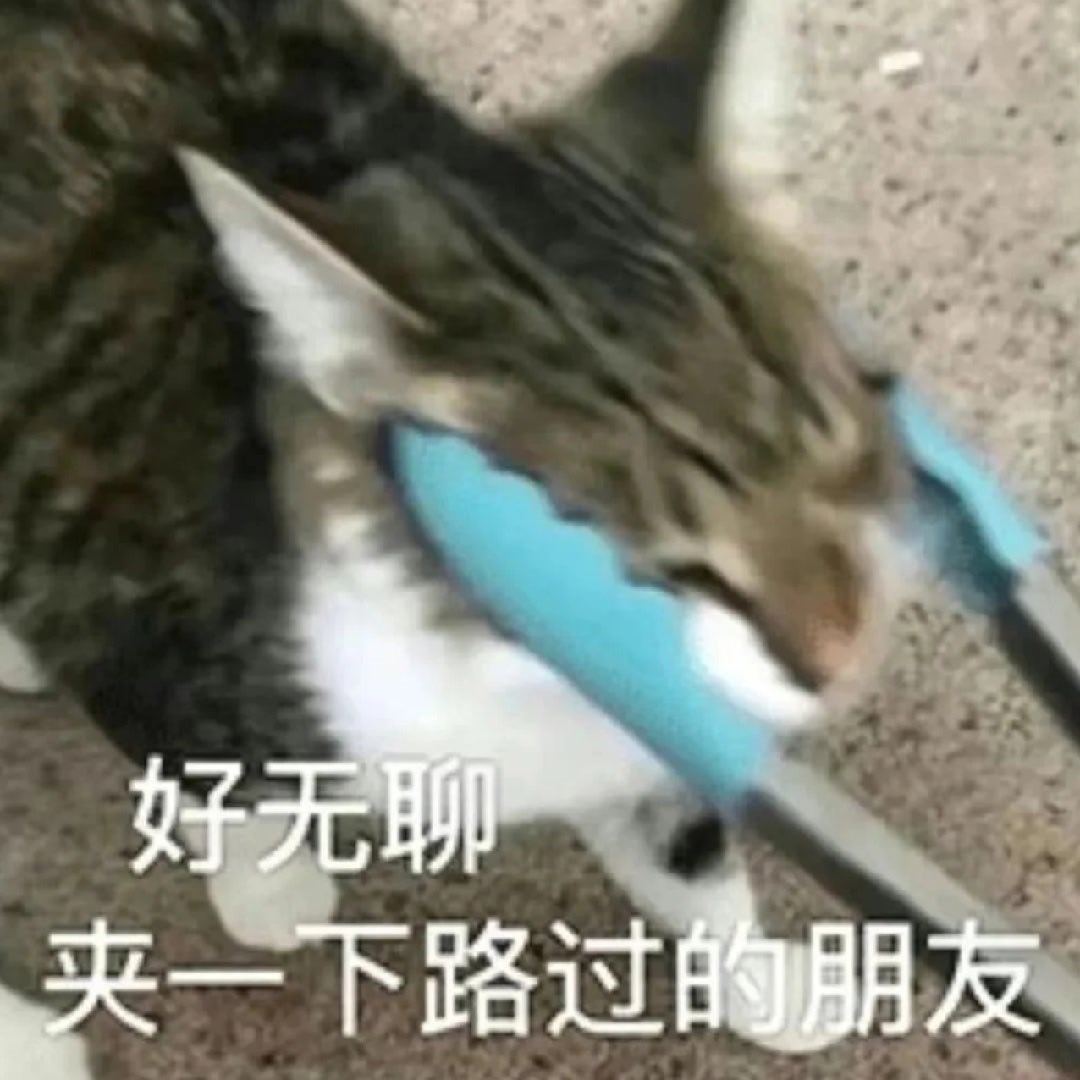 每日三问：都从国家队回来了吗？没受伤吧？下场比赛快到了吧？好无聊好想看城踢球 