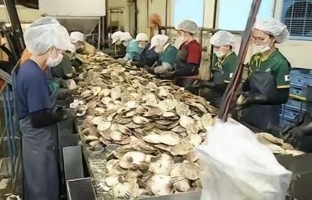 日本排放核水后，奇怪的事发生了：刚开始各国对海鲜避之不及，如今3年过去，核水已污