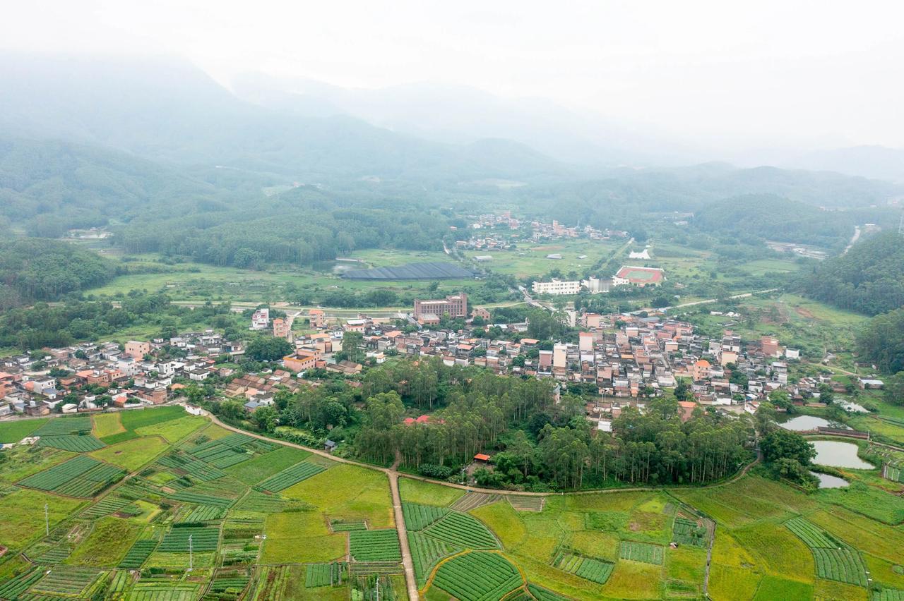 最近天天下雨。分享几张漂亮图片——佛山高明区的美图。图片里有#遇见最美佛山# 一