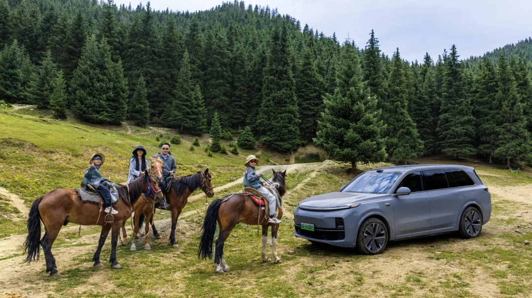 去新疆骑马溜娃吧