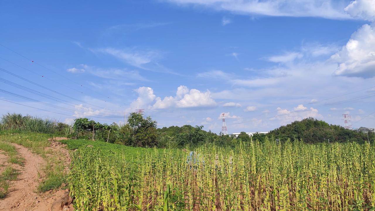 晒图笔记大赛野外拾趣～蓝天白云下的风景如画！分享一张最美的风景照