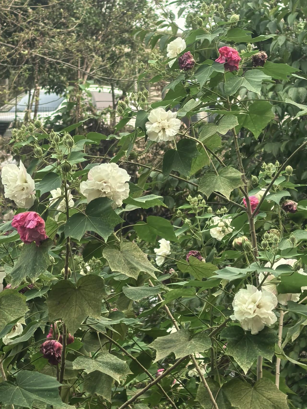 人，身体垮起来，速度快得你没法想象。
我妈今年5月，送她去县城医院，能自己上下四