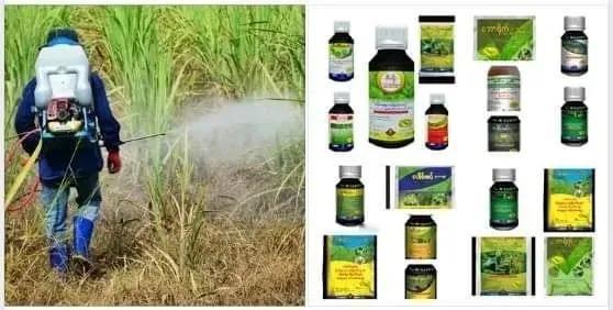 缅甸农药登记注册组消息，目前大部分农户们在使用除草剂中的Atrazine，Fom