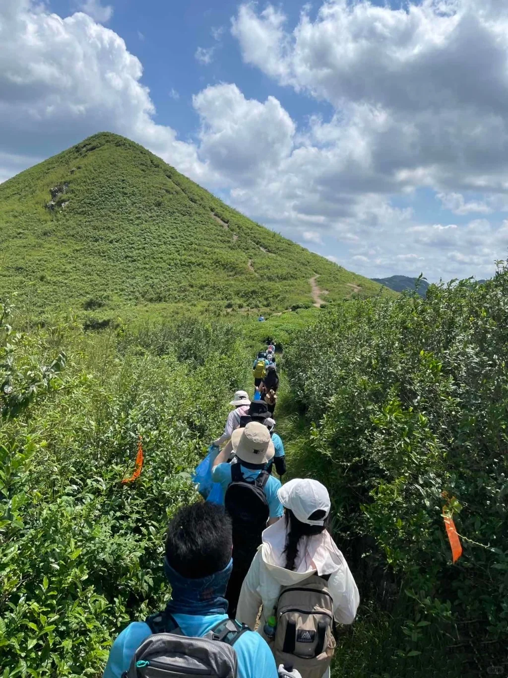 急召☘️魔都一日往返”孙家岭“刷到就出发