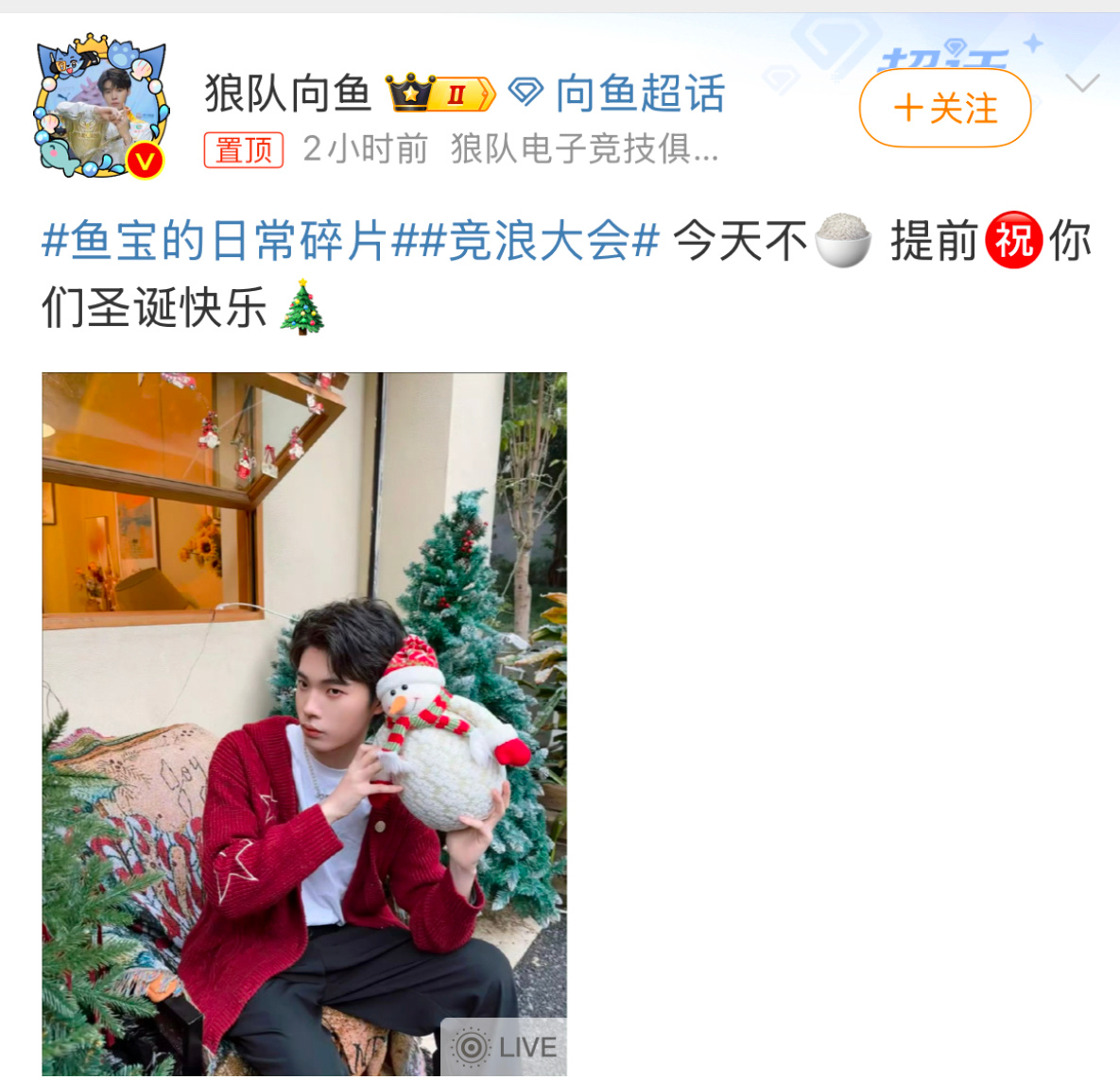 向鱼的圣诞祝福  向鱼的圣诞祝福送上～ 