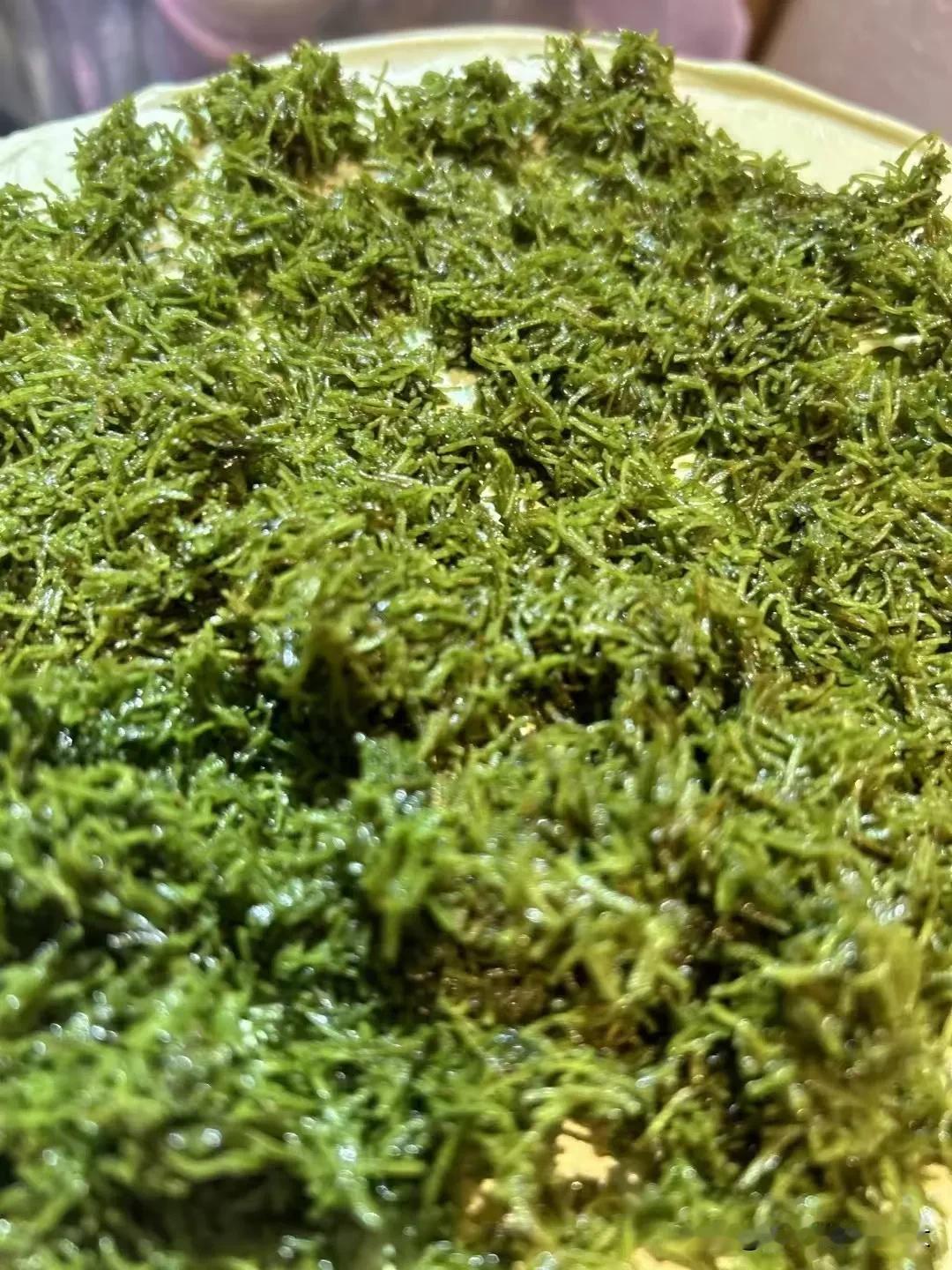 
愿十一月可以得到一个，
会照亮整个秋天的好消息。