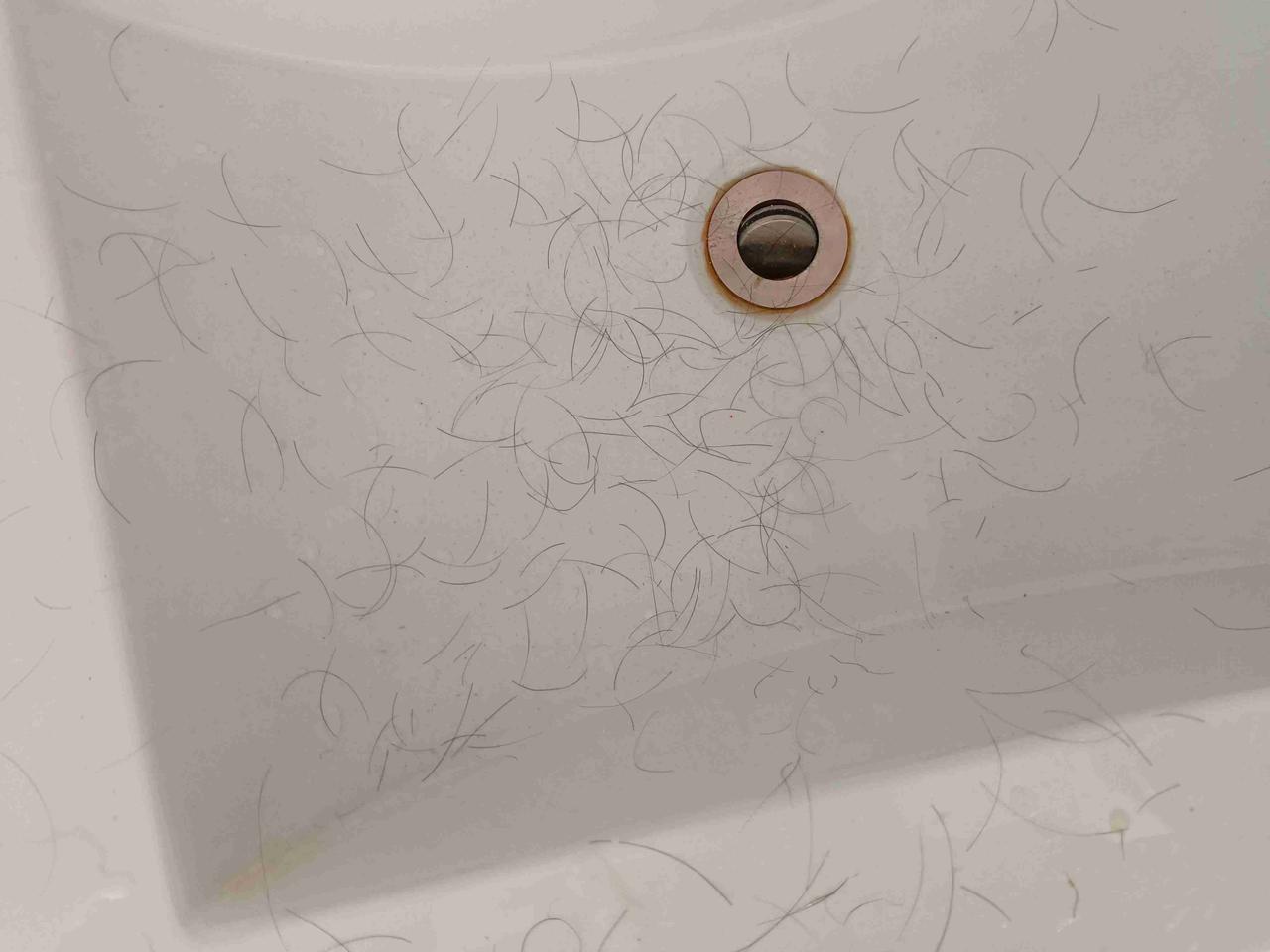 俺纳闷了，大家是否也困惑:
为啥脱的都是黑头发，白头发却屹立头顶、纹丝不动?!