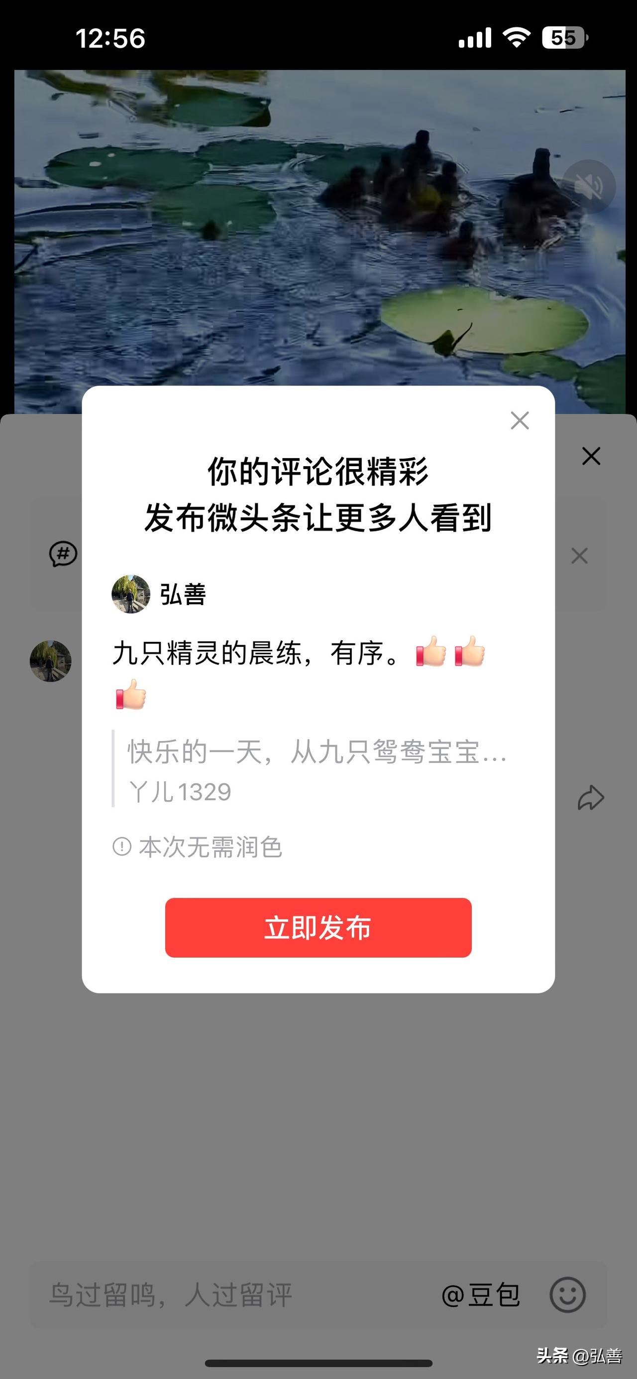 看到“九只精灵的晨练，有序”，一下就有画面感了。这让我想起兰州马拉松的“兰精灵”