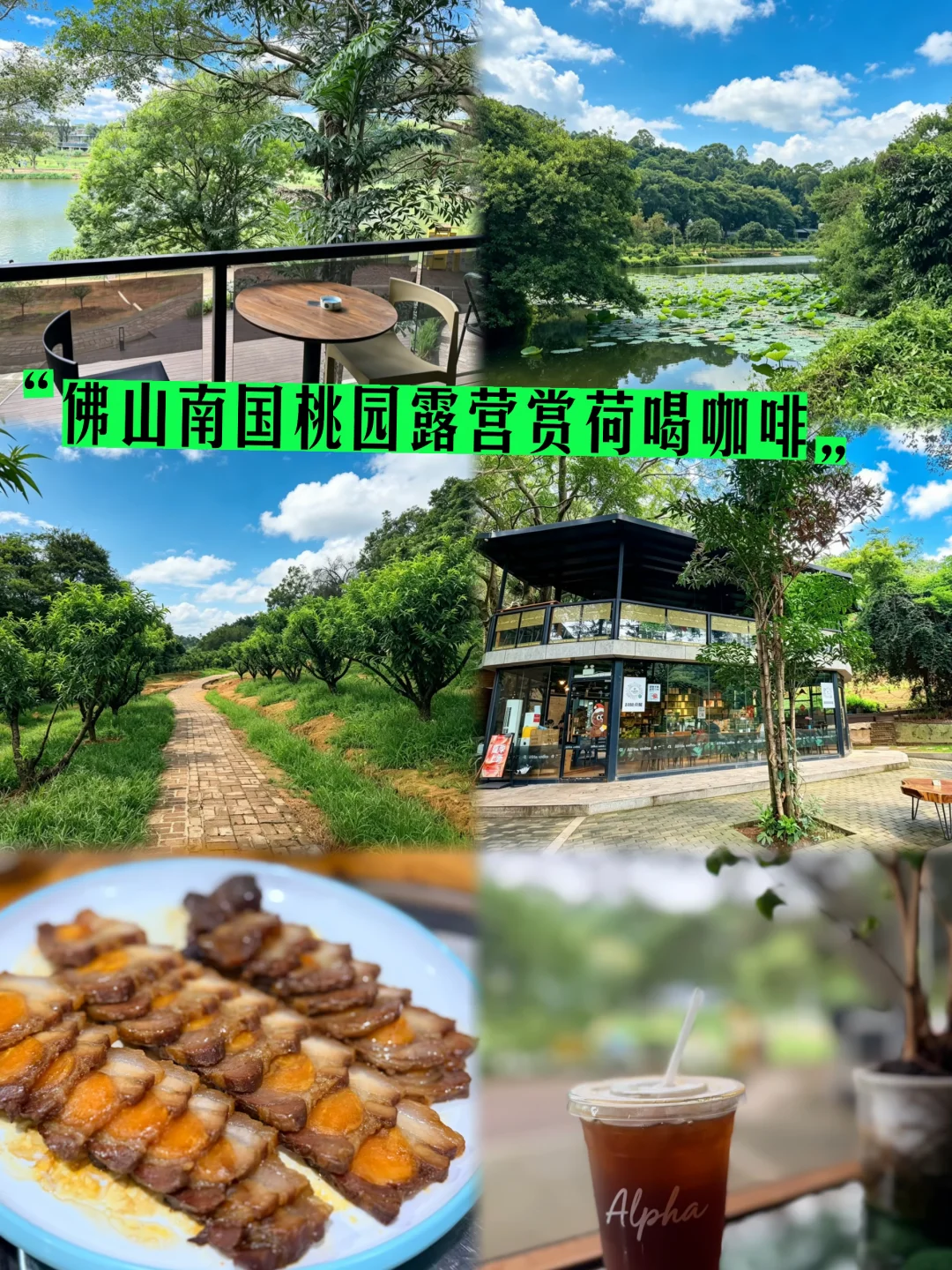 佛山南海❗狮山一日游🌿躺平路线