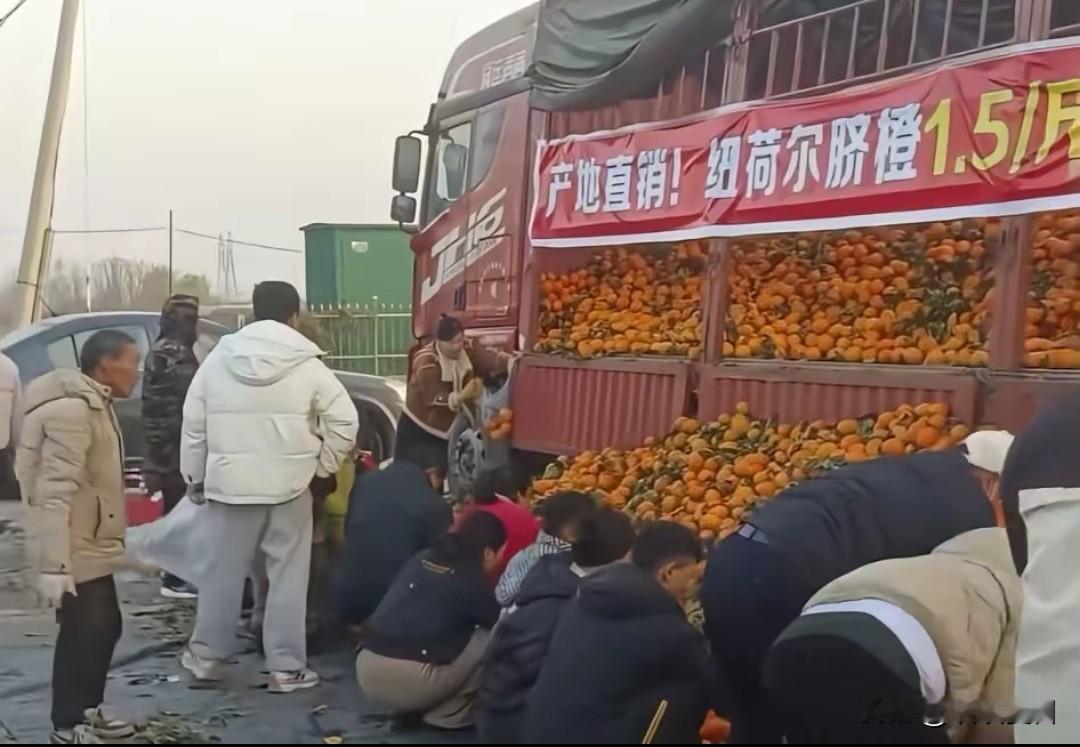 近日，各地传统水果店的老板们纷纷直呼“顶不住”，
一场由货车司机掀起的水果销售变