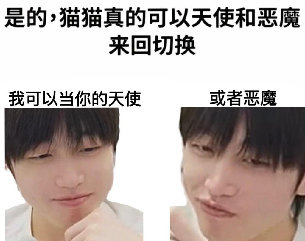 无言梗图7.0❗️
这个系列真的得攒攒才能更新了
模版也找不到新的了
无言的表情